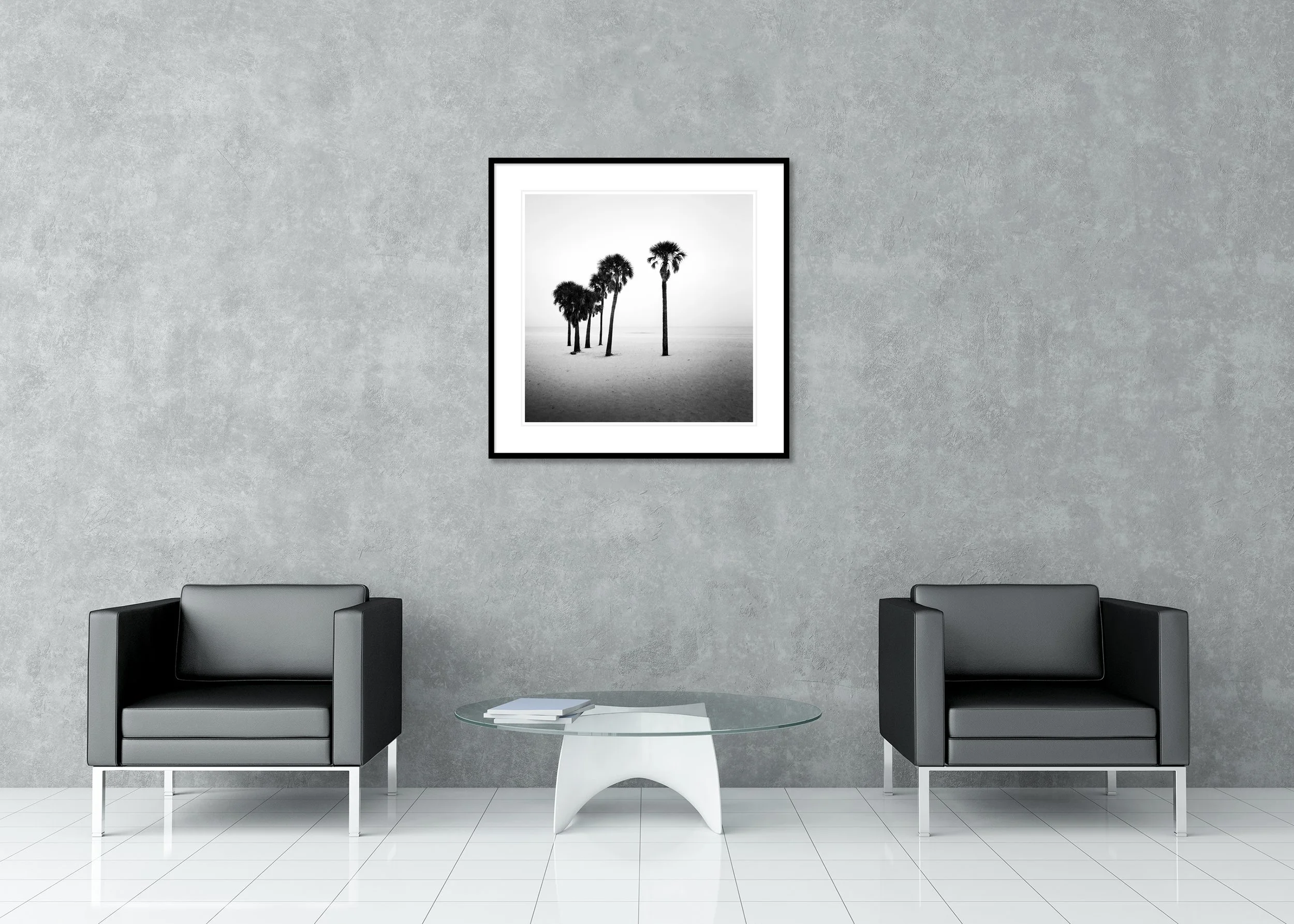 Palm Beach Study 7 displayed in a modern interior as an archival pigment print in a black aluminium frame with white mount by Gerald Berghammer.