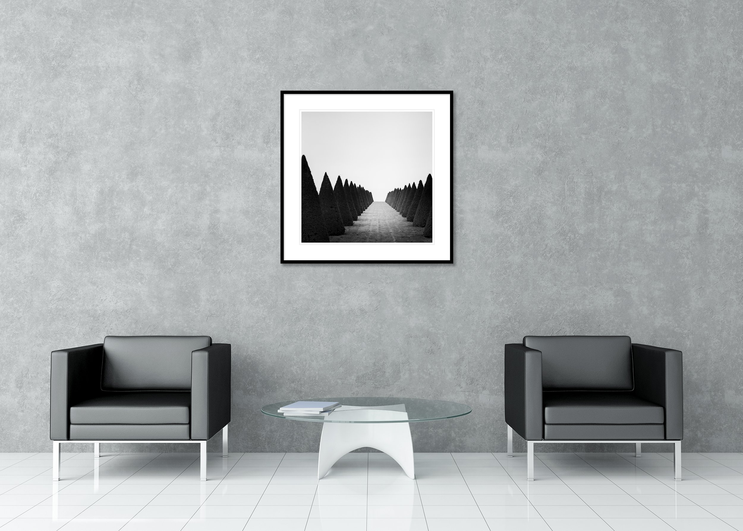 Hedges Study 4 displayed in a modern interior as an archival pigment print in a black aluminium frame with white mount by Gerald Berghammer.