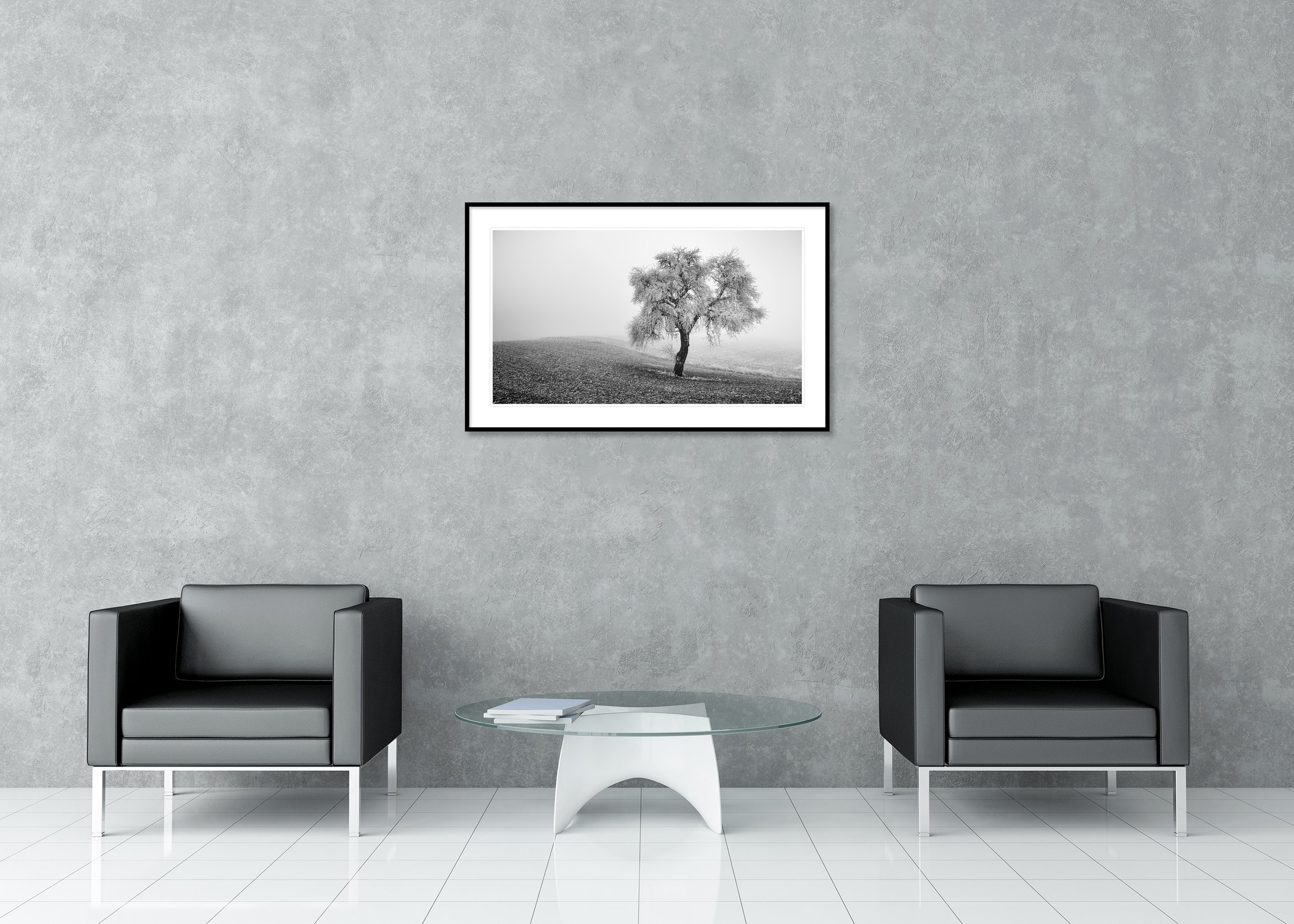 Tree in Frozen Field Panorama Study 1 displayed in a modern interior as an archival pigment print in a black aluminium frame with a white mount by Gerald Berghammer.