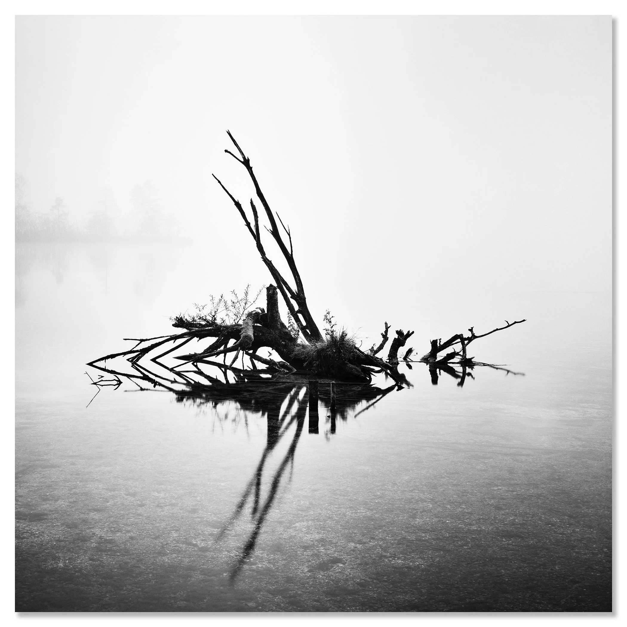 Fallen Tree Study 1 by Gerald Berghammer, minimalist Austrian waterscape presented as a frameless aluminium Dibond print.