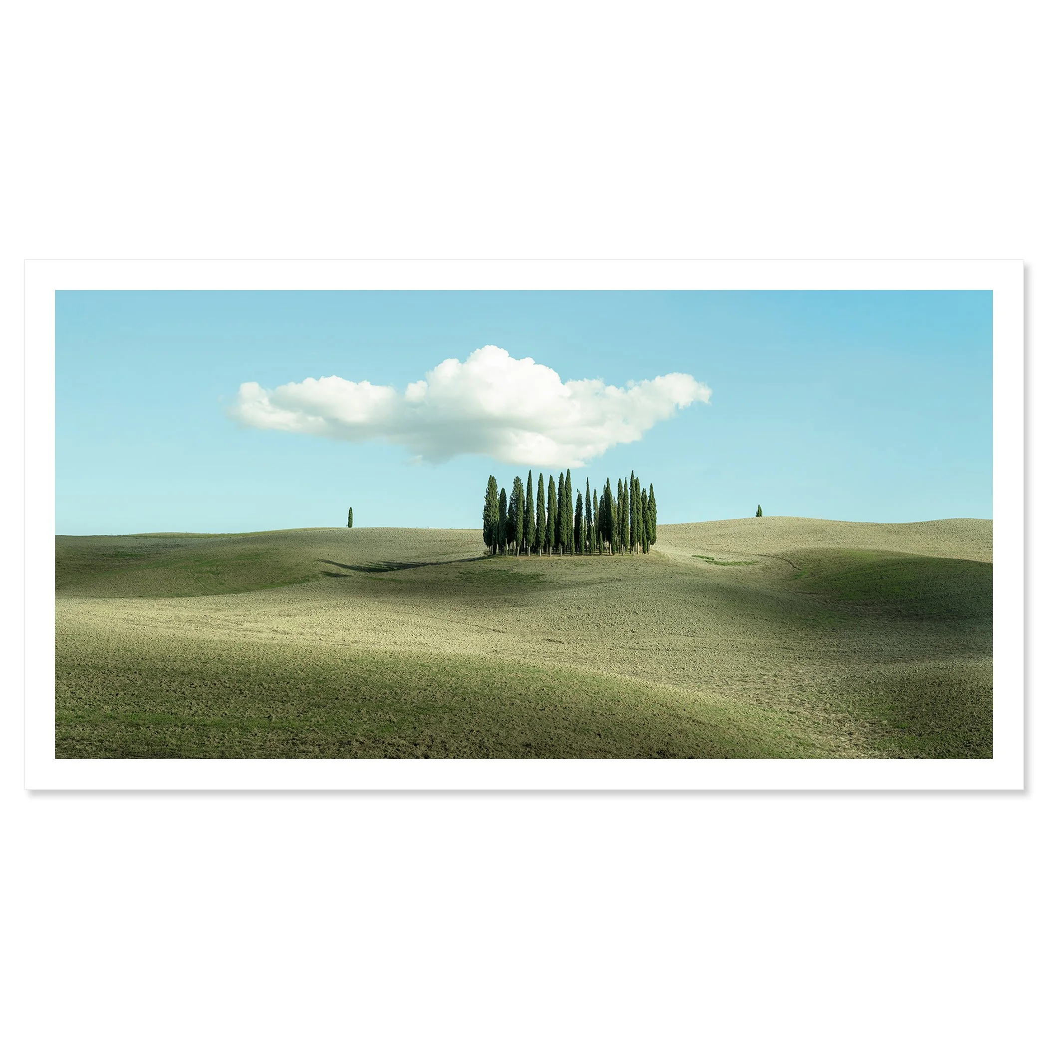 © 2023 Gerald Berghammer - Color minimalist photography. Open landscape with rolling hills, a small cluster of tall, thin green trees, and a large, fluffy cloud in the sky. Fine art print only