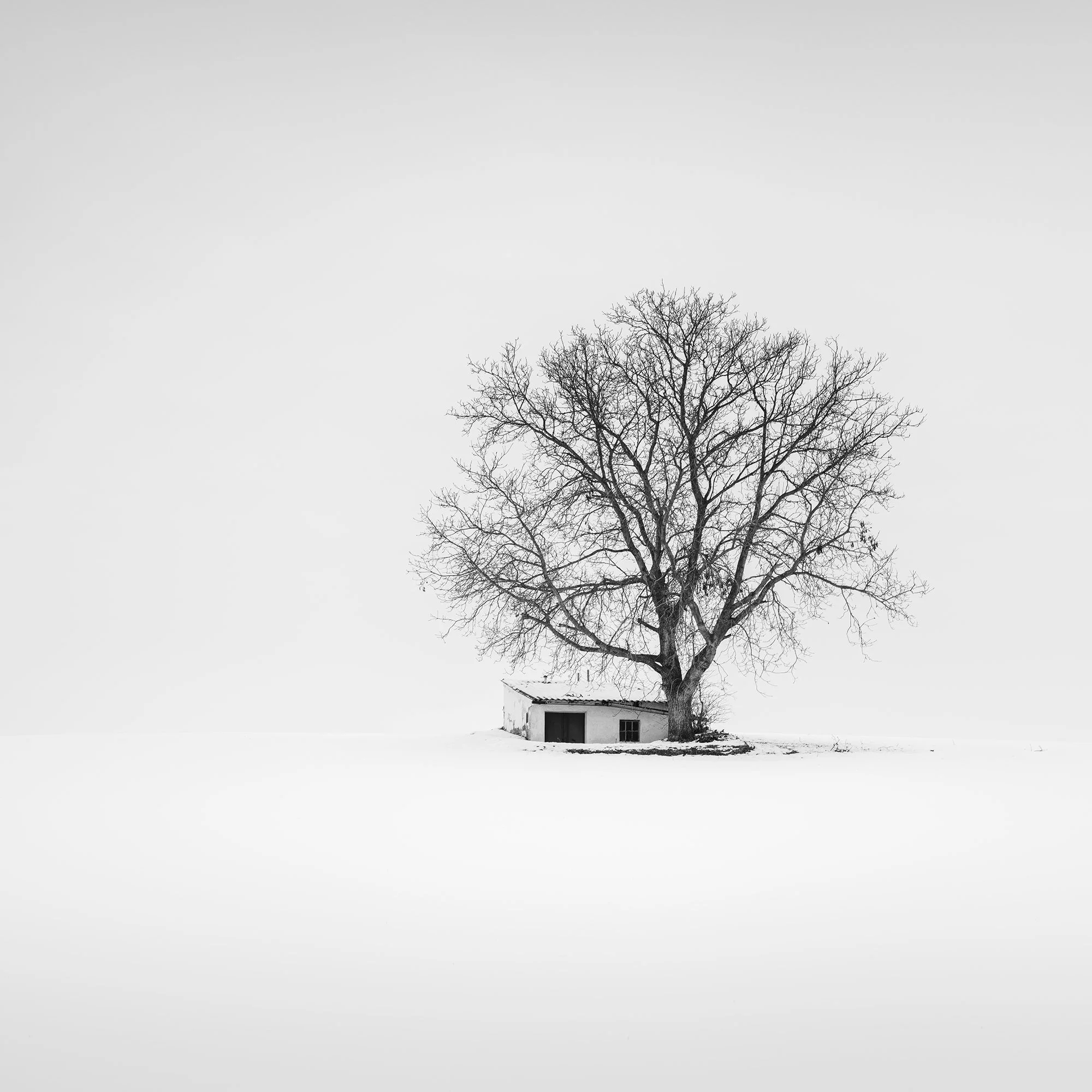 Fine art photography detail of the traditional wine press house in a snowy Austrian landscape by Gerald Berghammer.