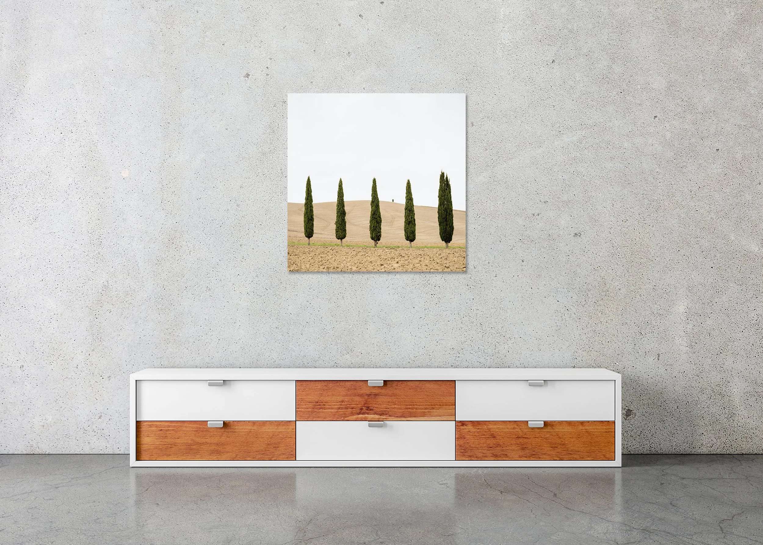 Harvest Field with Cypresses – Tuscany, Italy, colour photo print mounted to frameless aluminium Dibond.