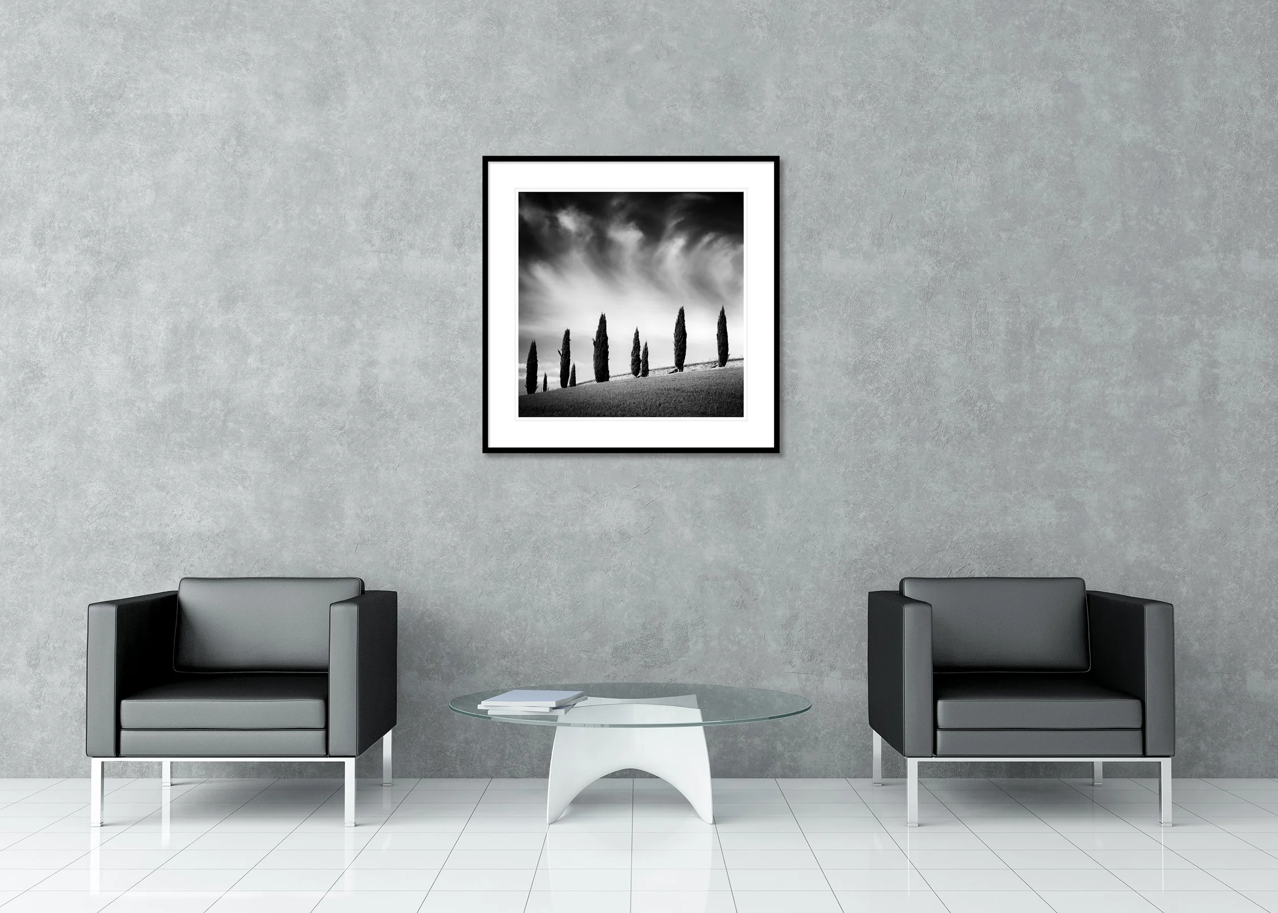 High-contrast black and white archival pigment print of cypress trees on an open hillside beneath dramatic clouds, in a classic frame with mount