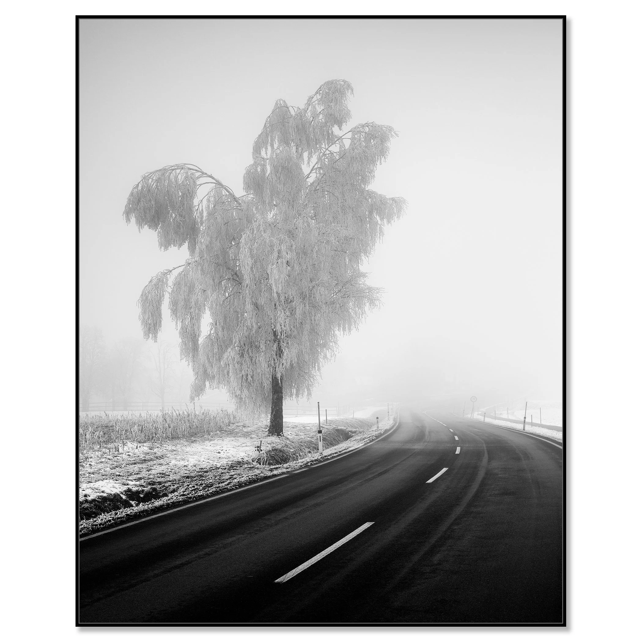Frost-covered tree beside a winding country road in dense winter fog – framed ArtBox black
