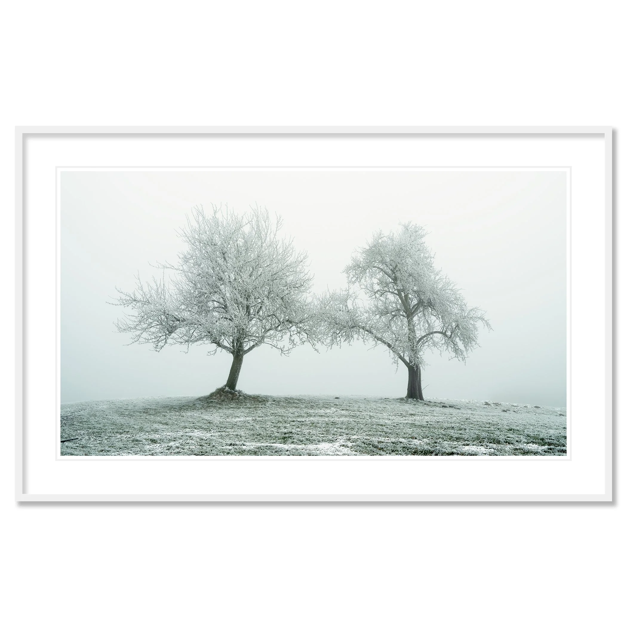 Gerald Berghammer - Black and white panorama photography. Two leafless trees covered in snow on a snowy grassy hill in a foggy landscape. Classic framed white