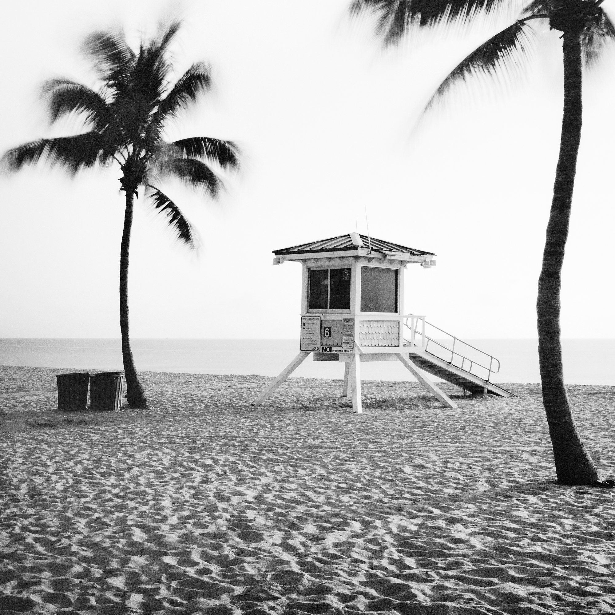 Detail of palm trees and the lifeguard tower at Fort Lauderdale Beach by Gerald Berghammer.