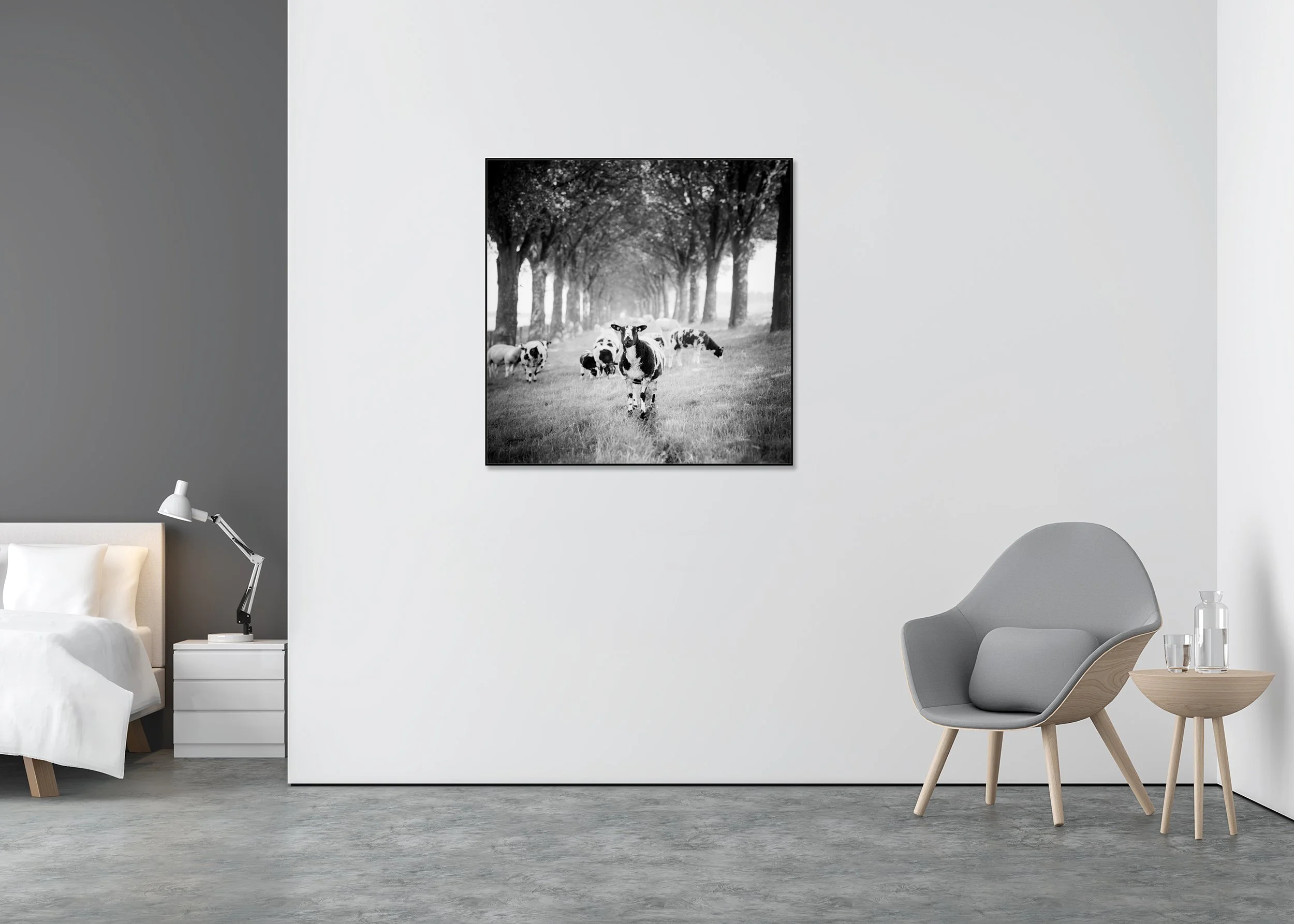 Shaun the Sheep Study 1 – Netherlands, black-and-white fine art photo print mounted to Dibond in an aluminium ArtBox