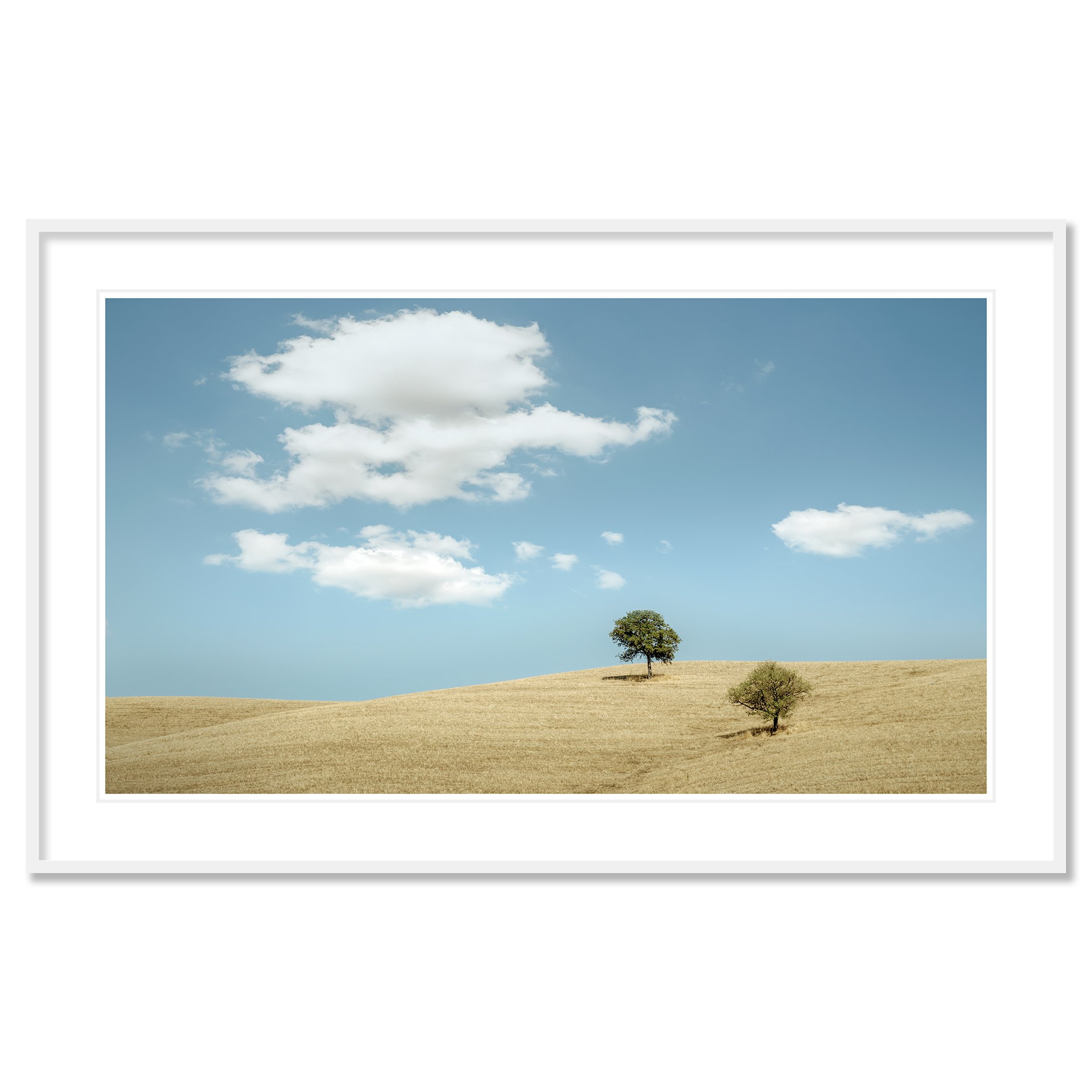 © 2021 Gerald Berghammer - Color minimalist Tuscany landscape photography. Two trees on a grassy hill under a blue sky with white clouds. Classic framed white