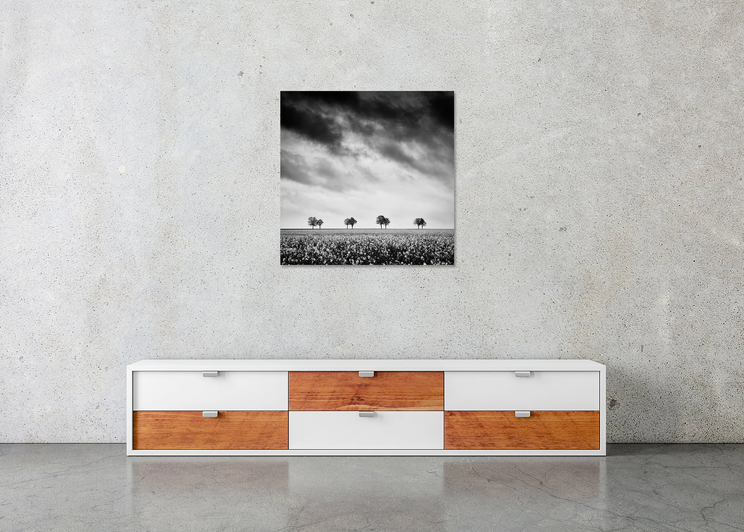 Row of Trees in Rapeseed Field Study 2 displayed in a modern interior as a frameless black-and-white aluminium Dibond print. Photo by Gerald Berghammer.