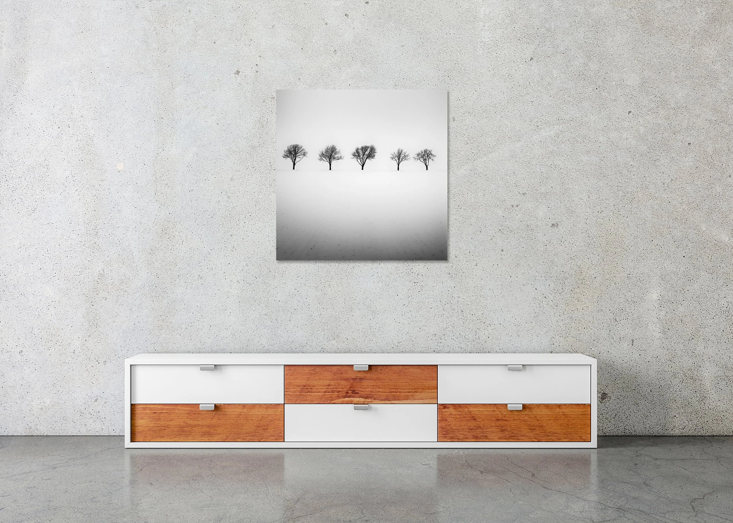 Minimalist winter scene with five leafless trees in a foggy snowy field, photo print mounted to Dibond, frameless