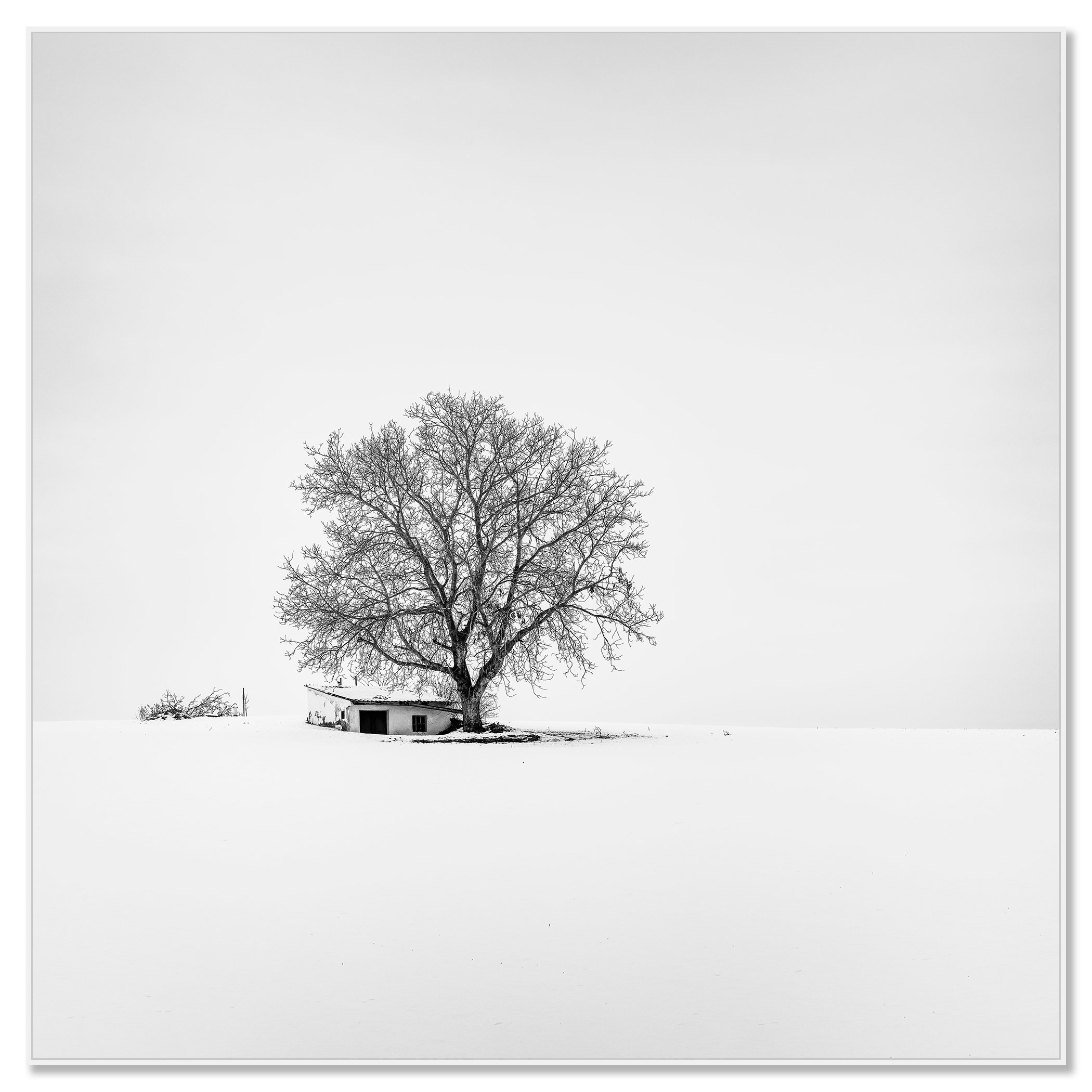 Wine Press House Winter Study 2 by Gerald Berghammer mounted on Dibond with a white aluminium ArtBox frame.