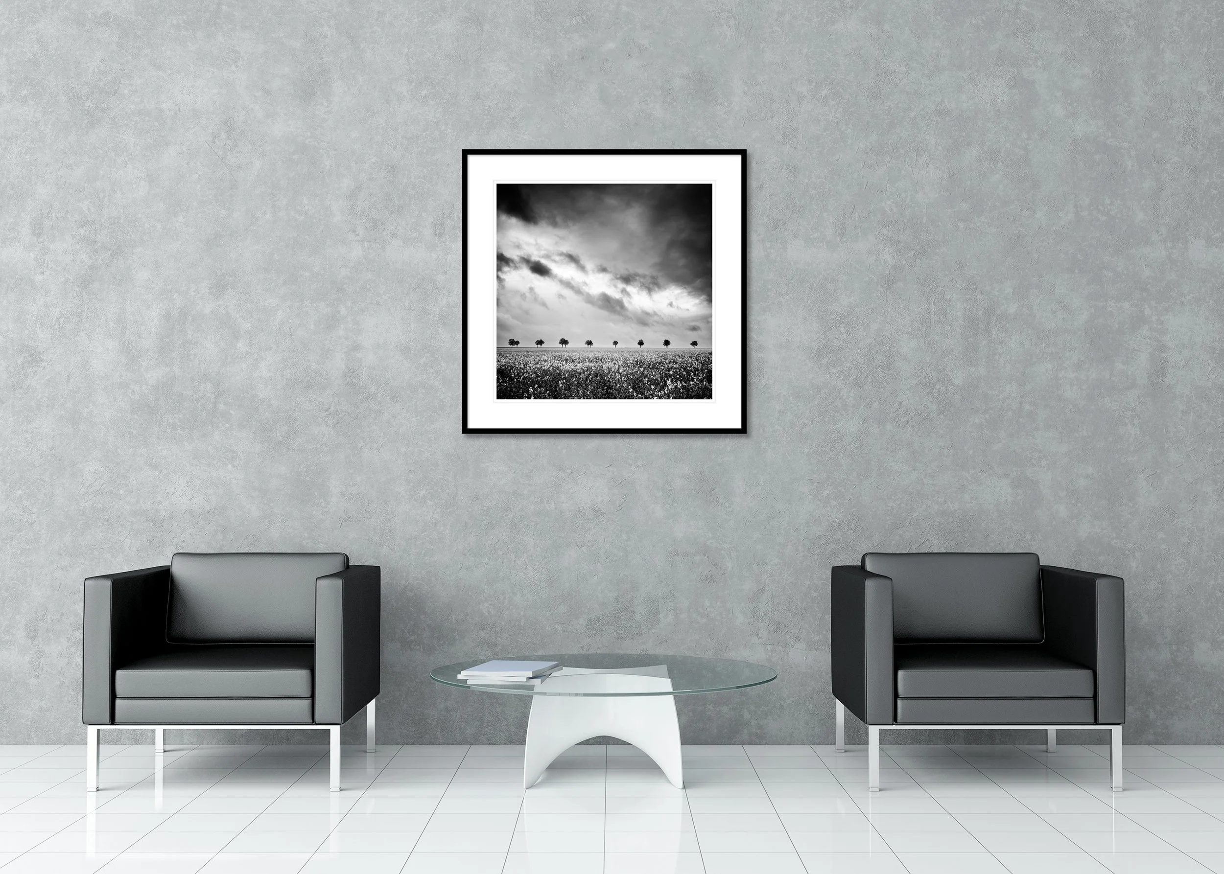 Black and white rapeseed field archival pigment print with a line of small trees and storm clouds, in a classic frame with a mount
