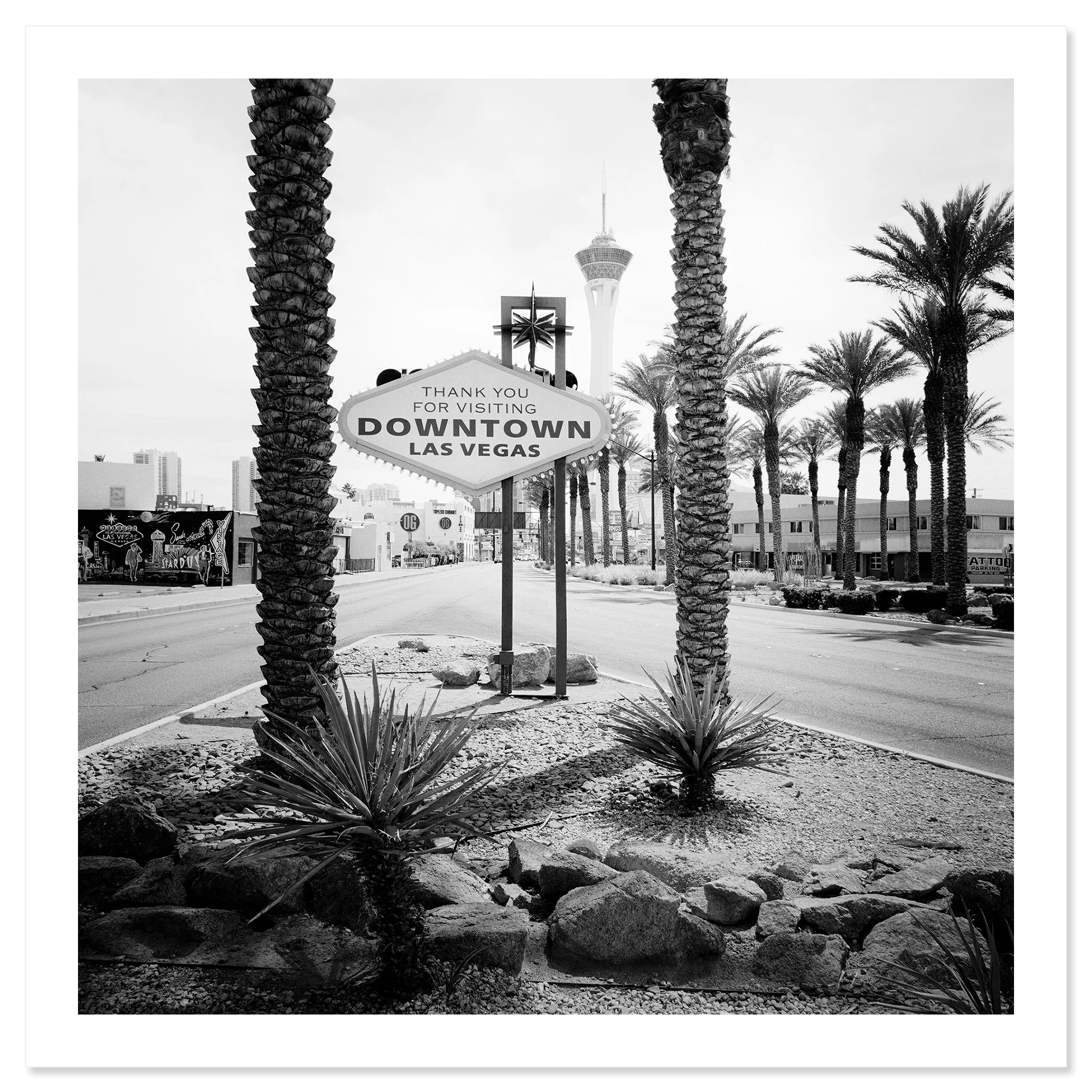 Gerald Berghammer - Black and white desert cityscape photography. Las Vegas Welcome Sign, with palm trees lining the street and the Stratosphere Tower. Fine art print only