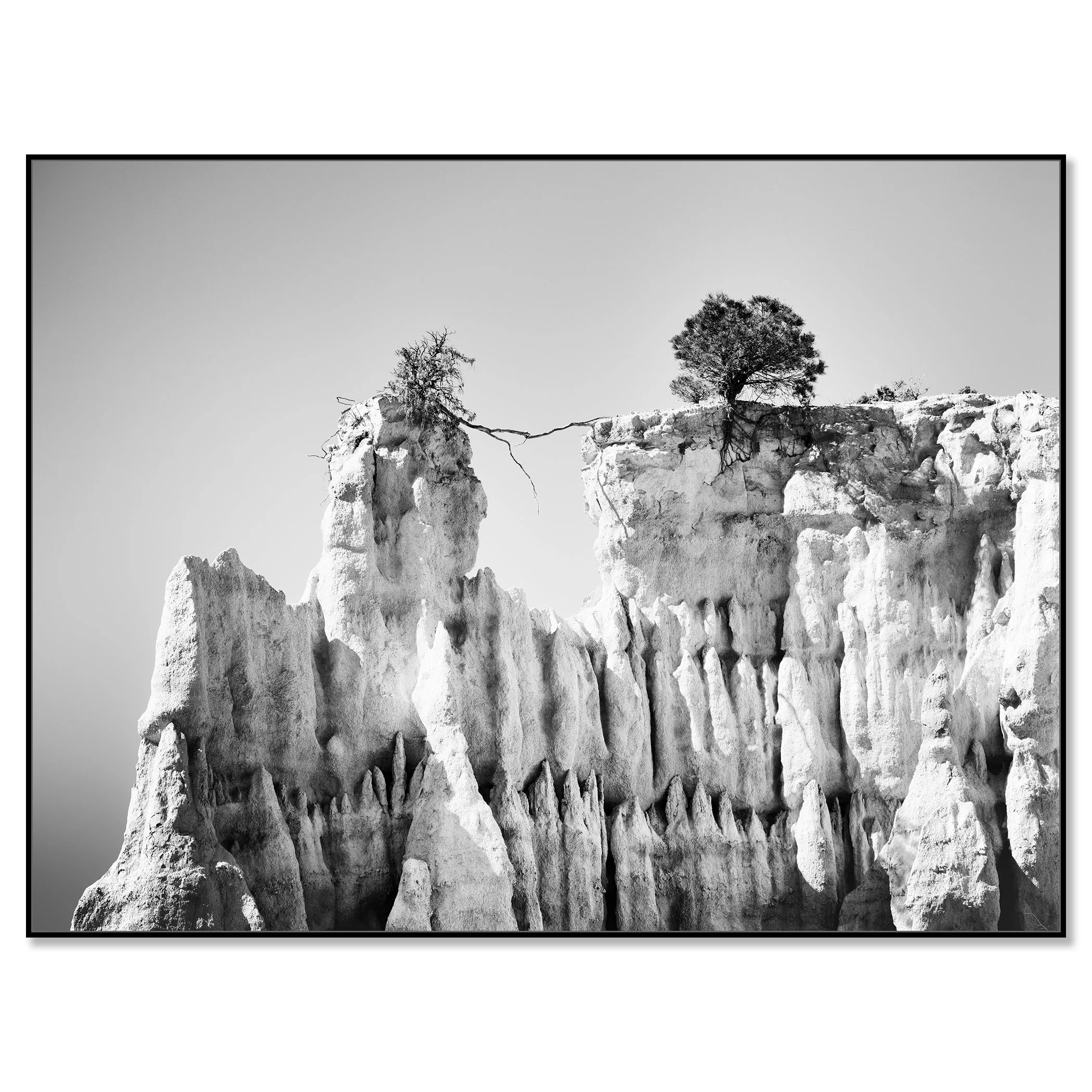 Black-and-white abstract cliff photograph with two trees on the edge, one leaning and connected by a branch – framed Artbox black