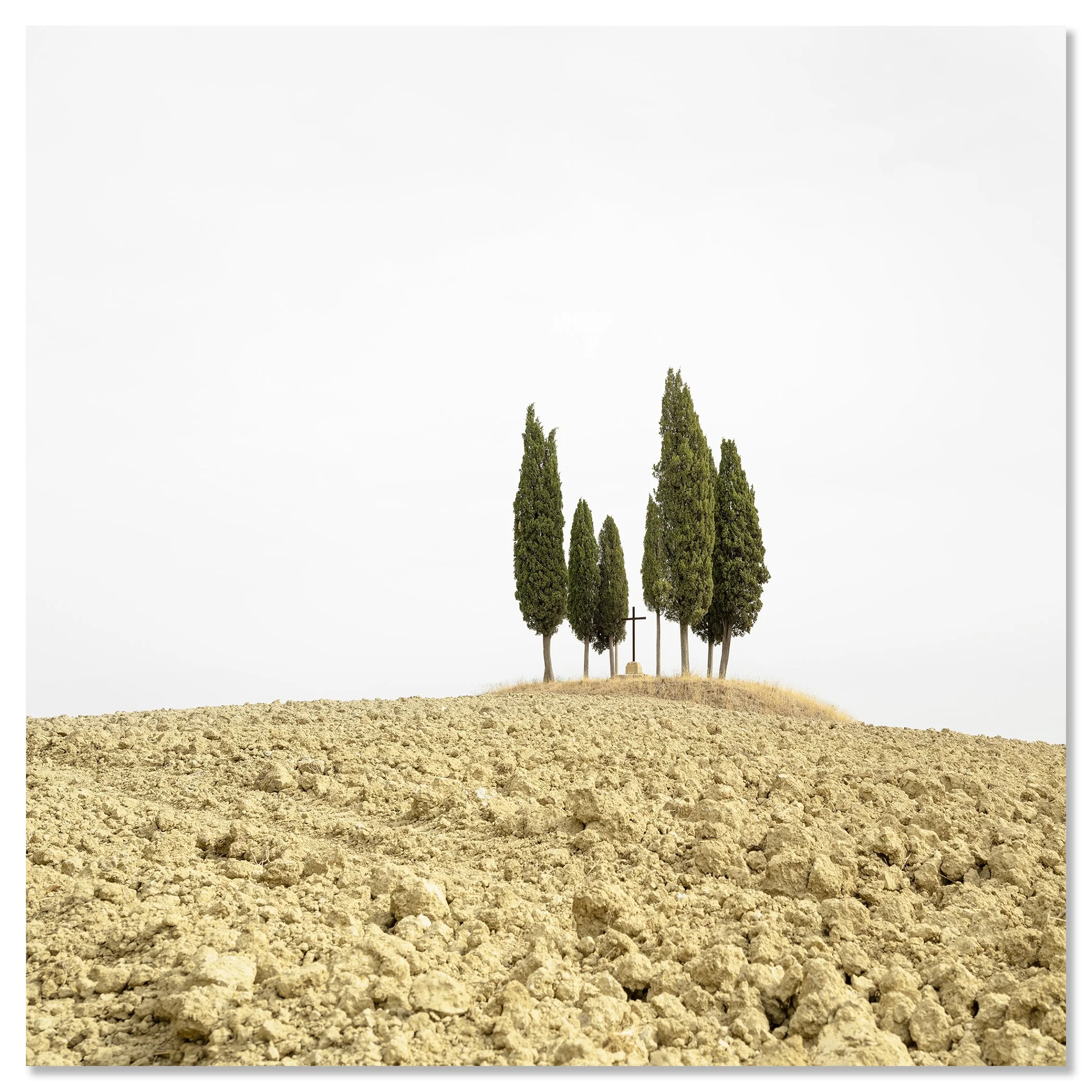 Cypress Tree on a Hill with a Cross, Tuscany, displayed as a frameless colour photograph mounted on aluminium Dibond by Gerald Berghammer.