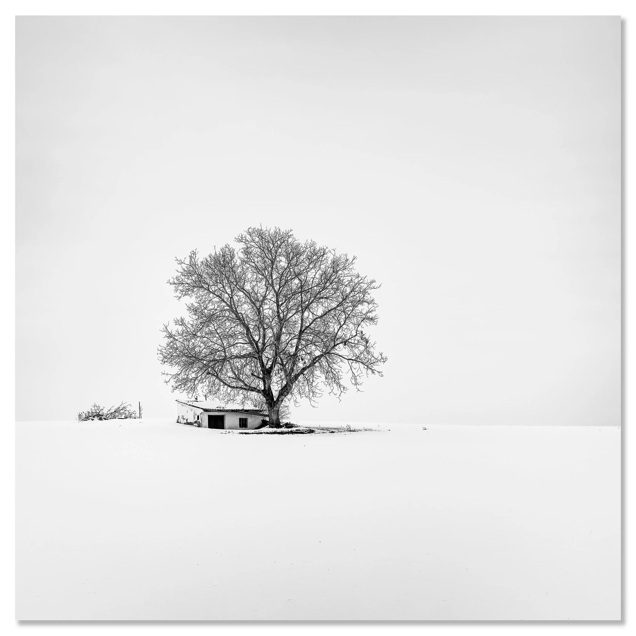Frameless Dibond version of Wine Press House Winter Study 2, a black-and-white winter landscape photograph by Gerald Berghammer.