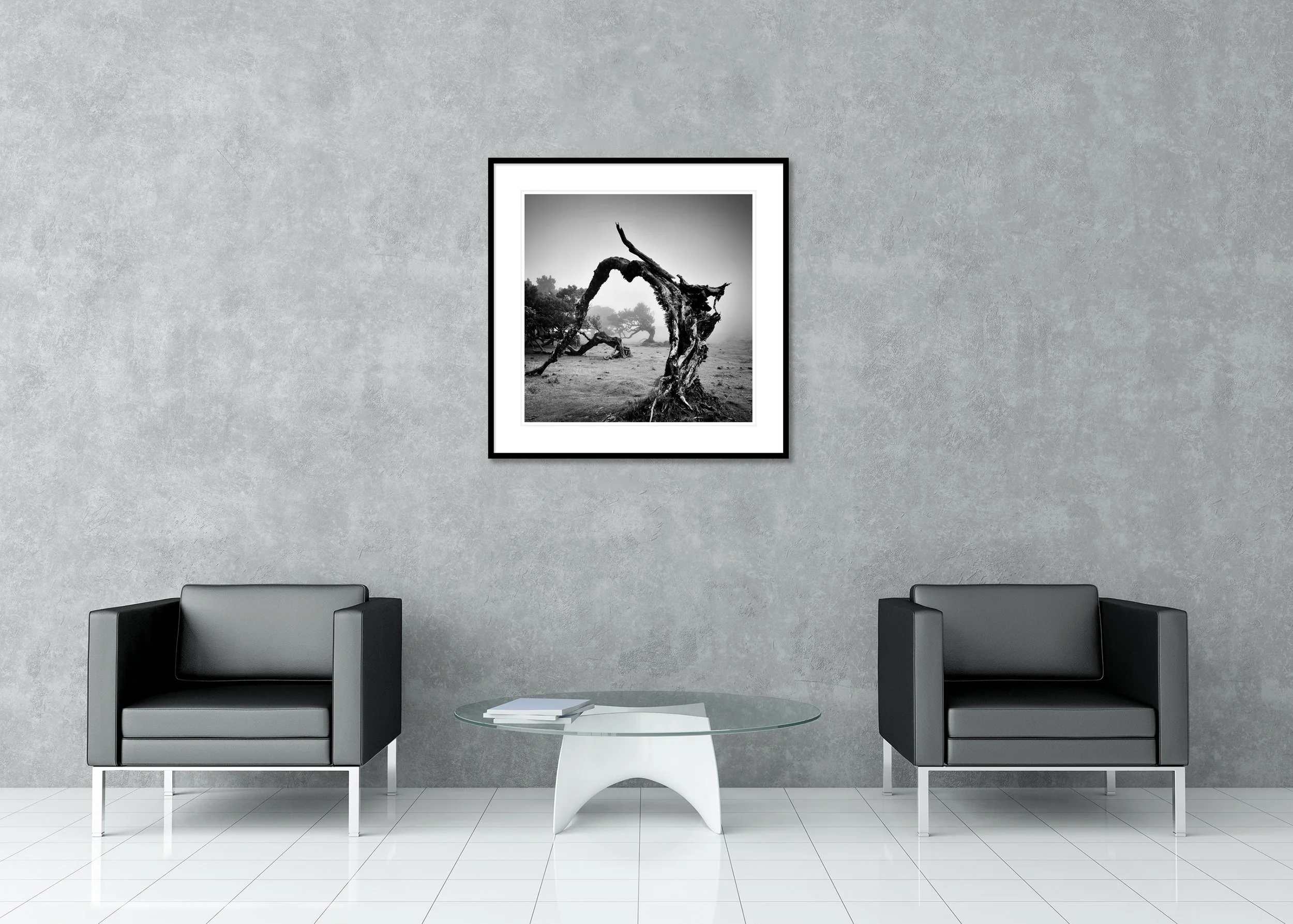 Archival pigment print in a classic frame with passe-partout showing a foggy Fanal Forest in Madeira, black and white, with windswept trees and moody light