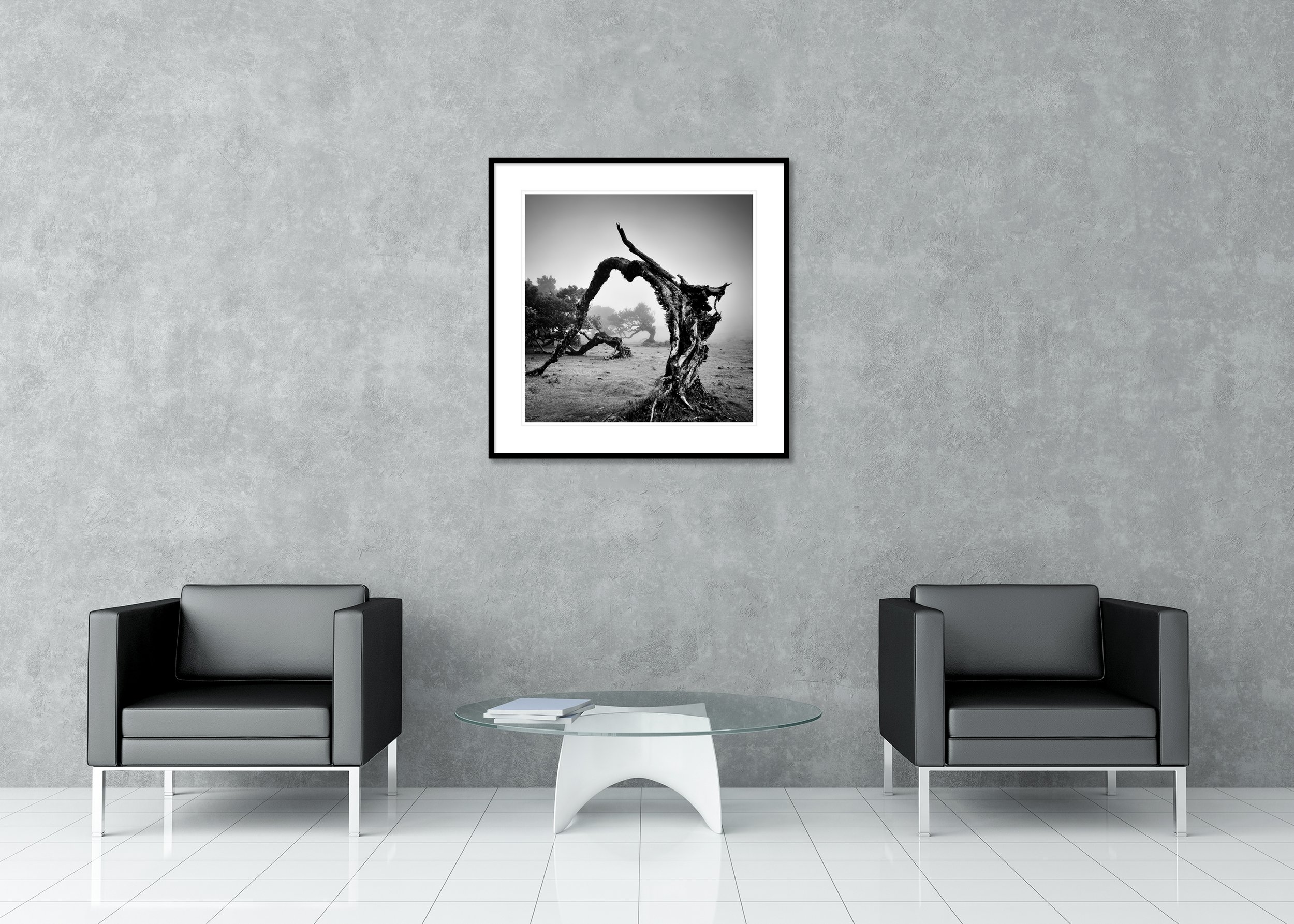 Foggy Fanal Forest, Madeira, in black and white, with windswept trees and moody light, as an archival pigment print in a classic frame with a mount.