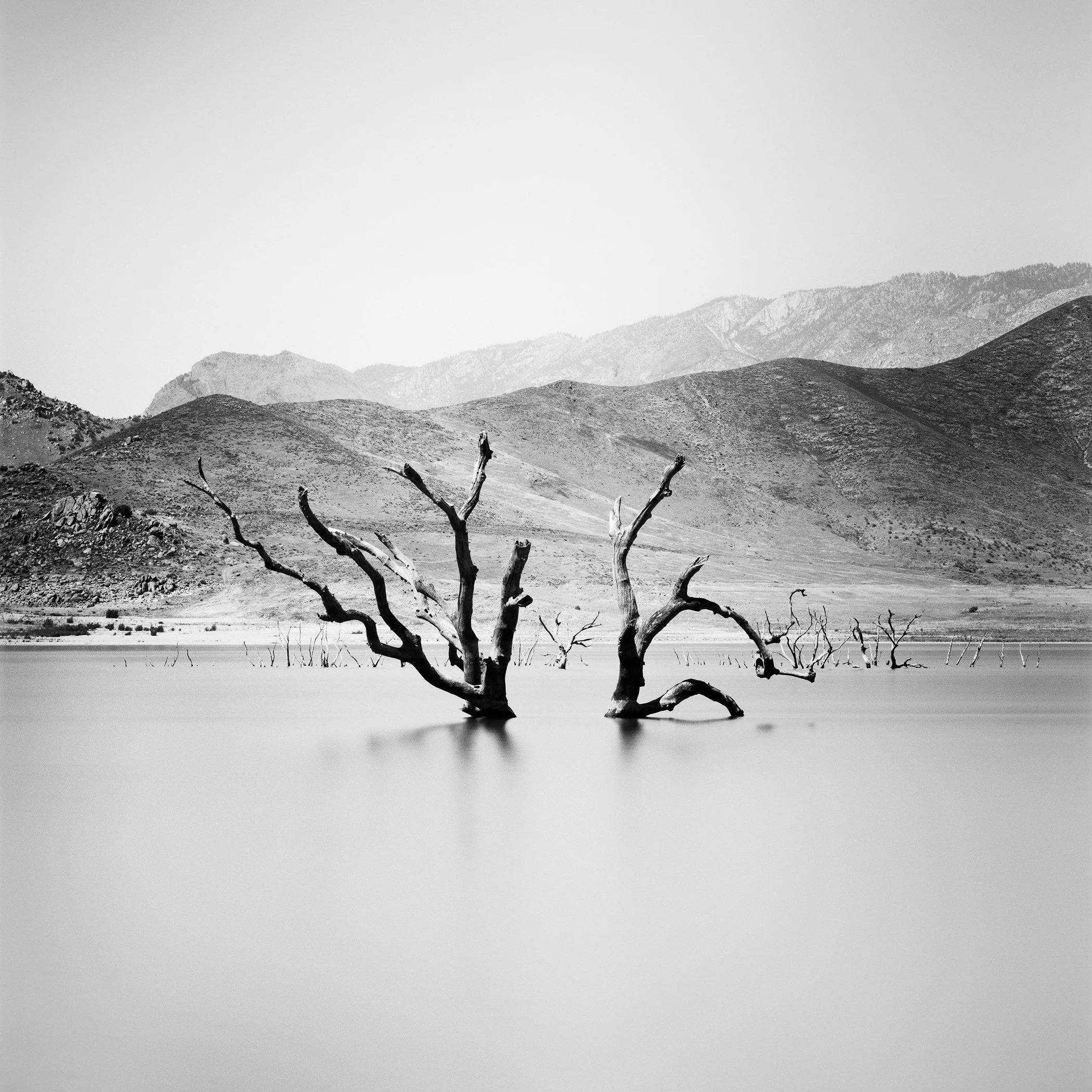 Analogue black-and-white photograph of dead tree trunks in calm water with layered desert mountains in Arizona by Gerald Berghammer.
