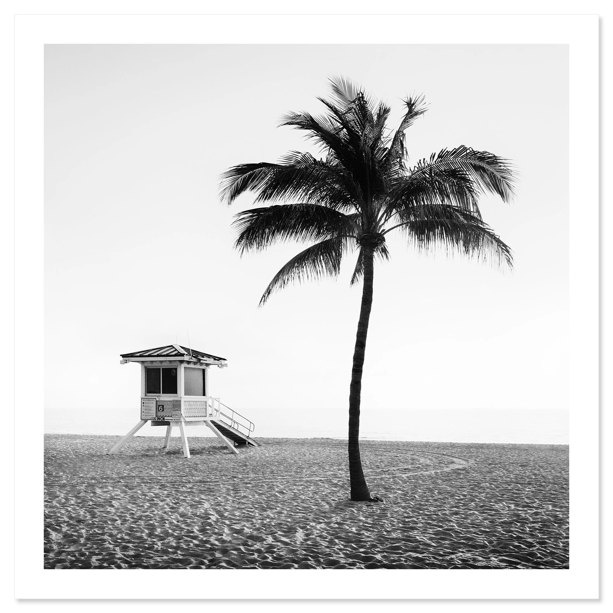 Fort Lauderdale Beach Study 3 by Gerald Berghammer, black-and-white fine art print with palm tree and lifeguard tower in Florida.