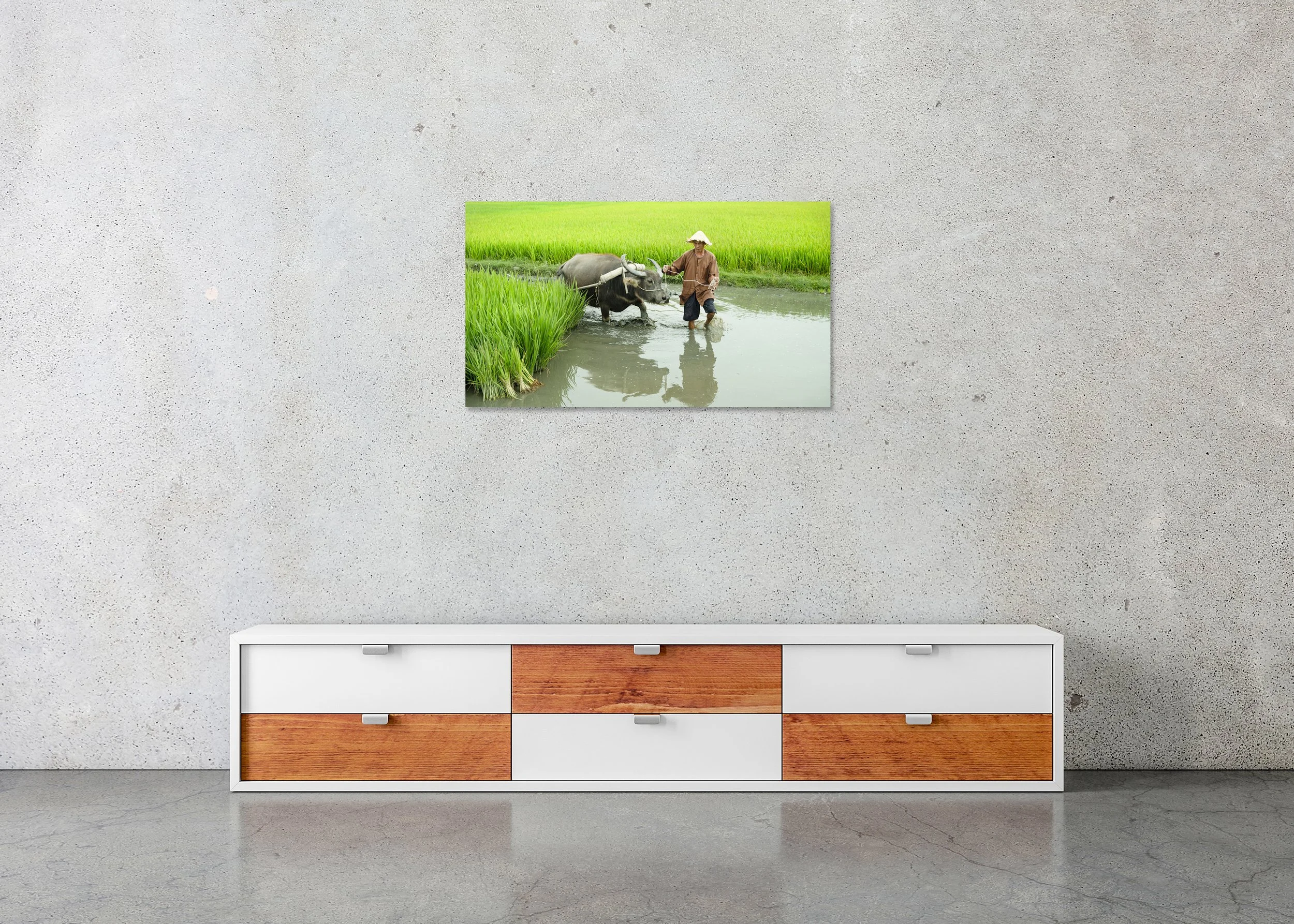 Rice Farmer with Water Buffalo displayed in a modern interior as a frameless colour artwork mounted on aluminium Dibond. Photo by Gerald Berghammer.