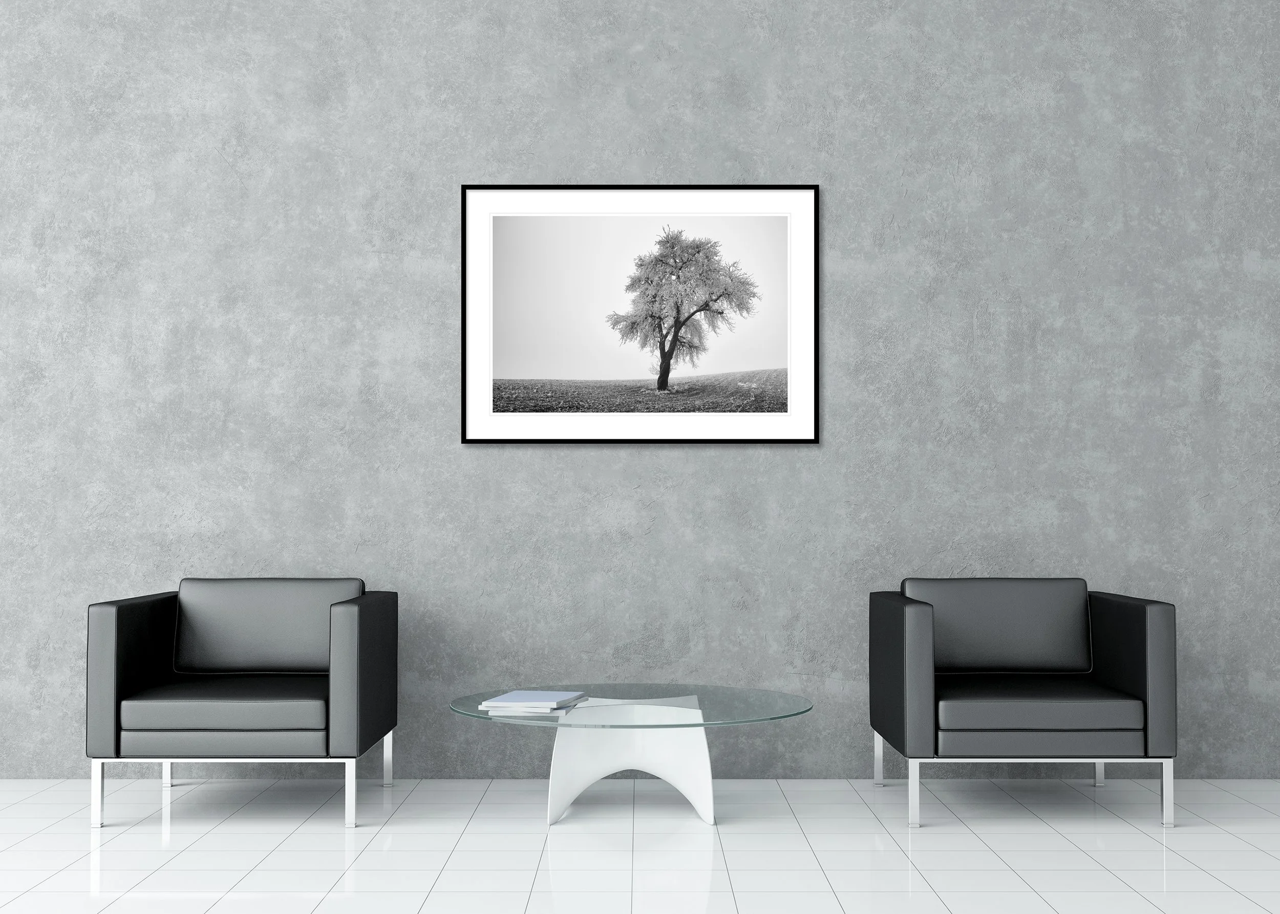Minimalist black and white photograph of a lone frost-covered tree standing in a quiet winter field. Archival Pigment Print – Classic Frame with Passe-Partout