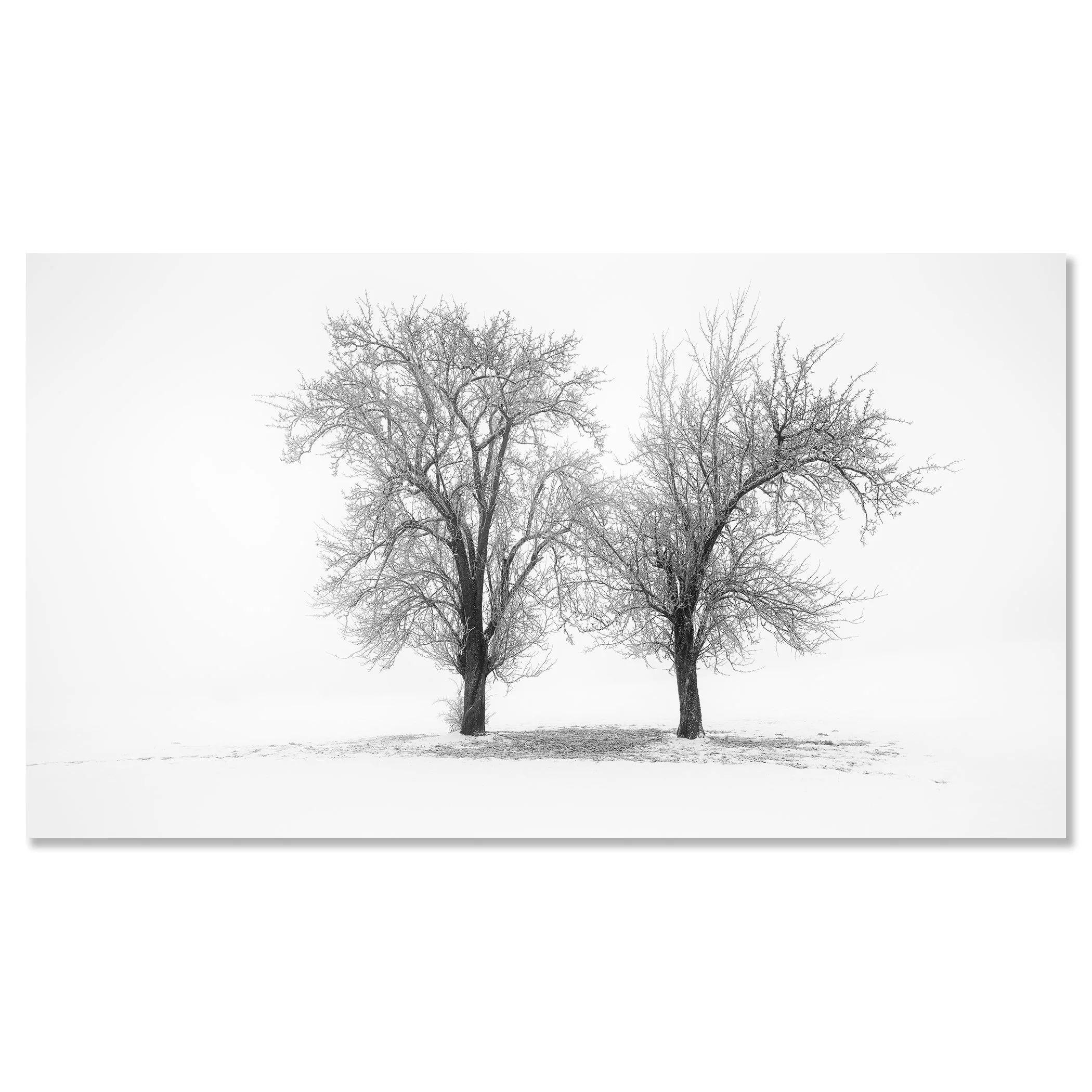 Still Winter Morning Study 1 – Austria mounted on frameless aluminium Dibond
