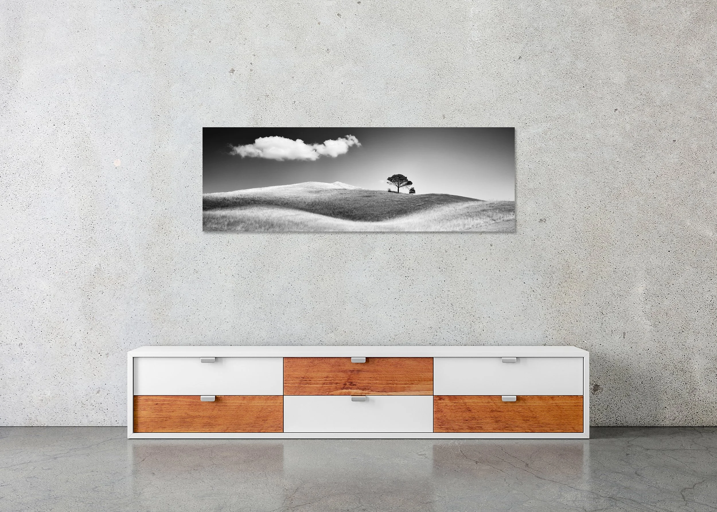 Tuscany, Italy panorama with Italian stone pines framing rolling countryside, distant hills and soft haze, photo print mounted to frameless Dibond