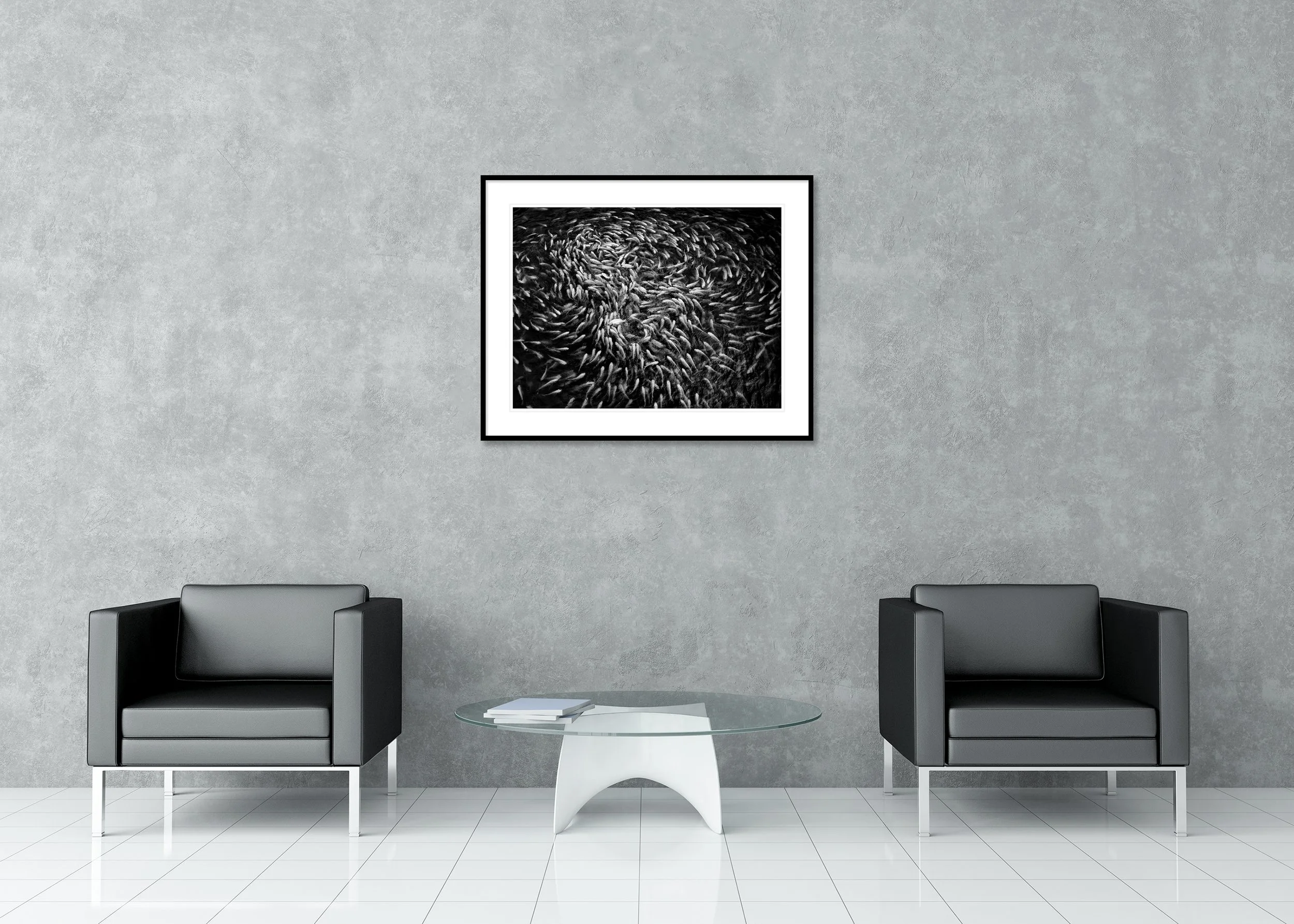 Monochrome aerial photo of a large school of fish in spiral formations on dark water, archival pigment print in a classic frame with mount.