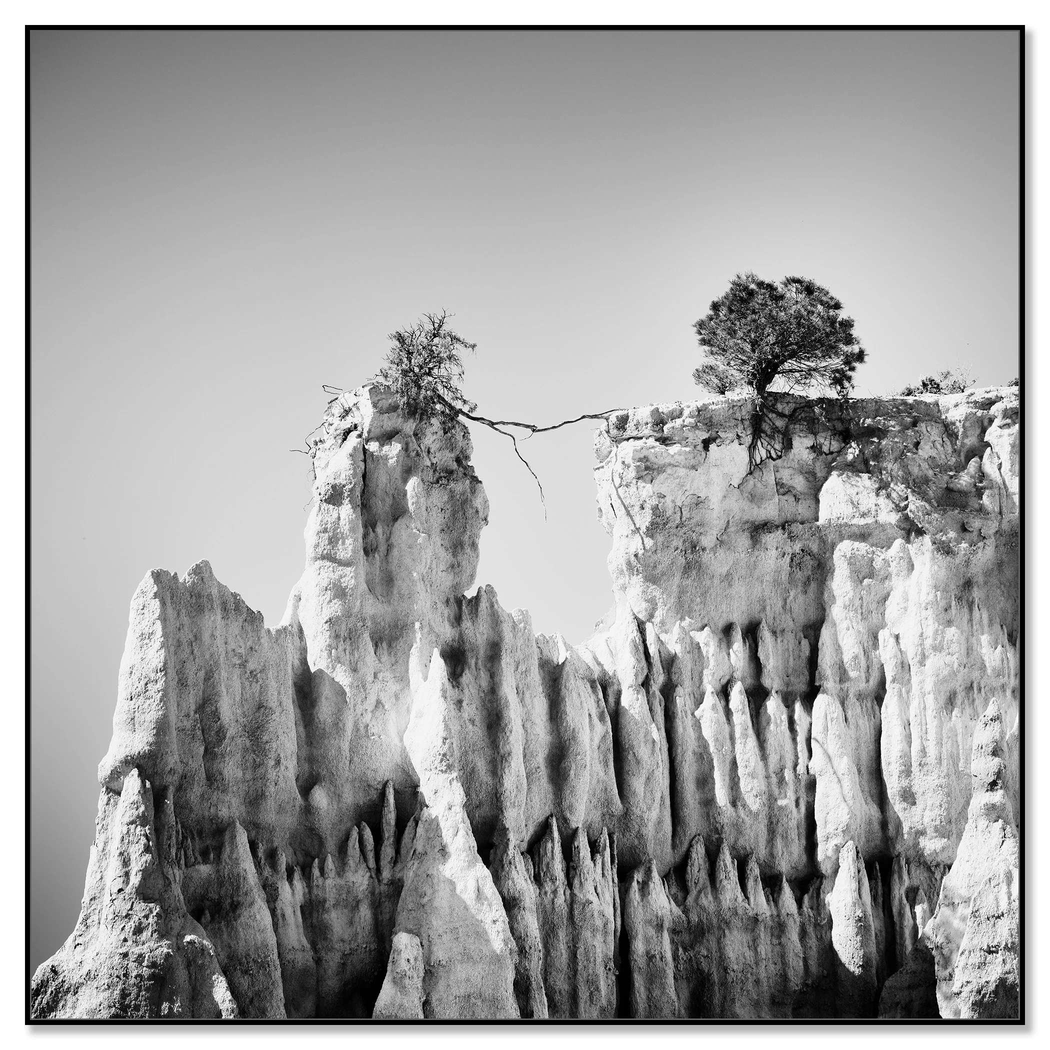 Black-and-white minimalist landscape photograph of two trees on a rocky cliff, one leaning over the edge – framed ArtBox black