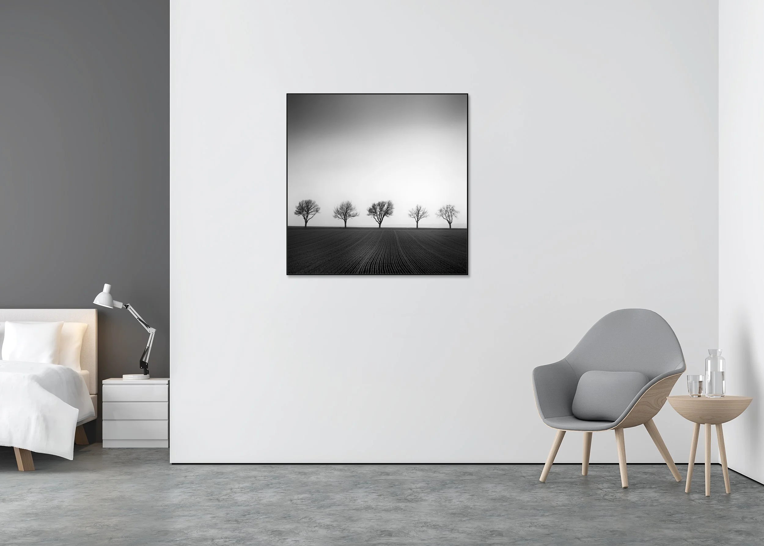 Cherry Tree Avenue, Study 1 displayed in a modern interior, mounted on aluminium Dibond in a black ArtBox frame by Gerald Berghammer.