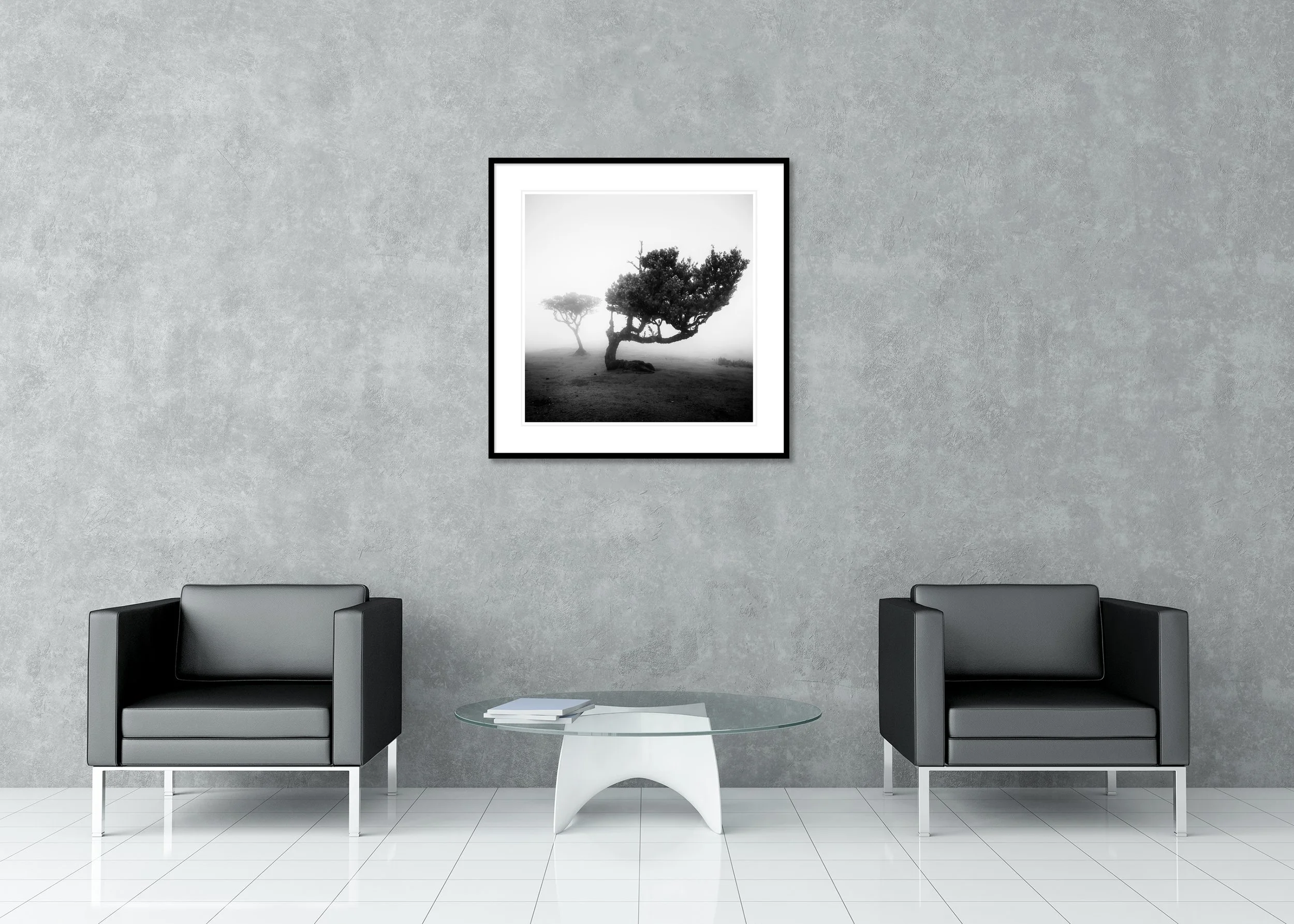 Black and white photo of a wind-bent tree standing in dense fog on a barren landscape, archival pigment print in a classic frame with mount.