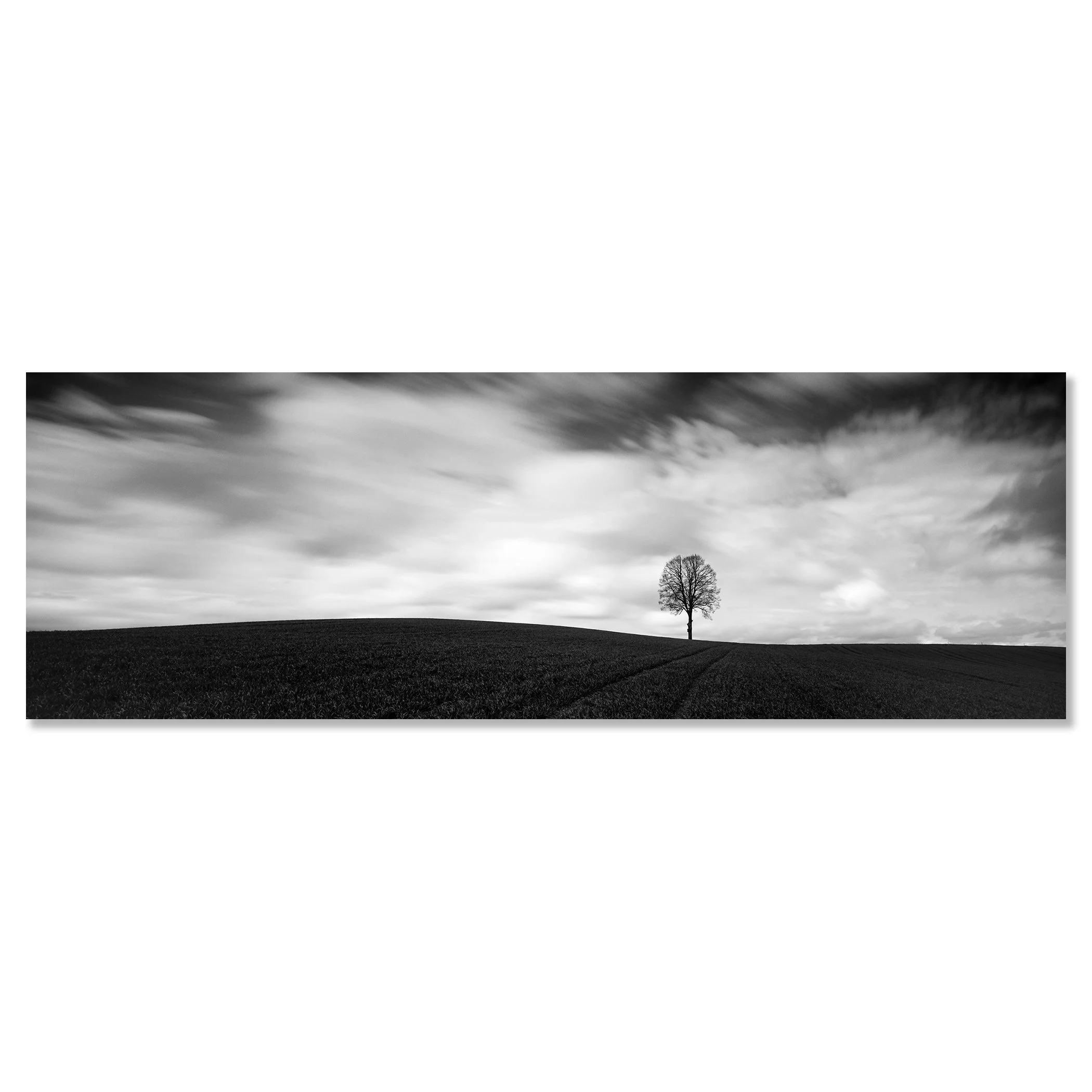 Farmland Panorama Study 1 shown as a frameless black-and-white print mounted on aluminium Dibond by Gerald Berghammer.