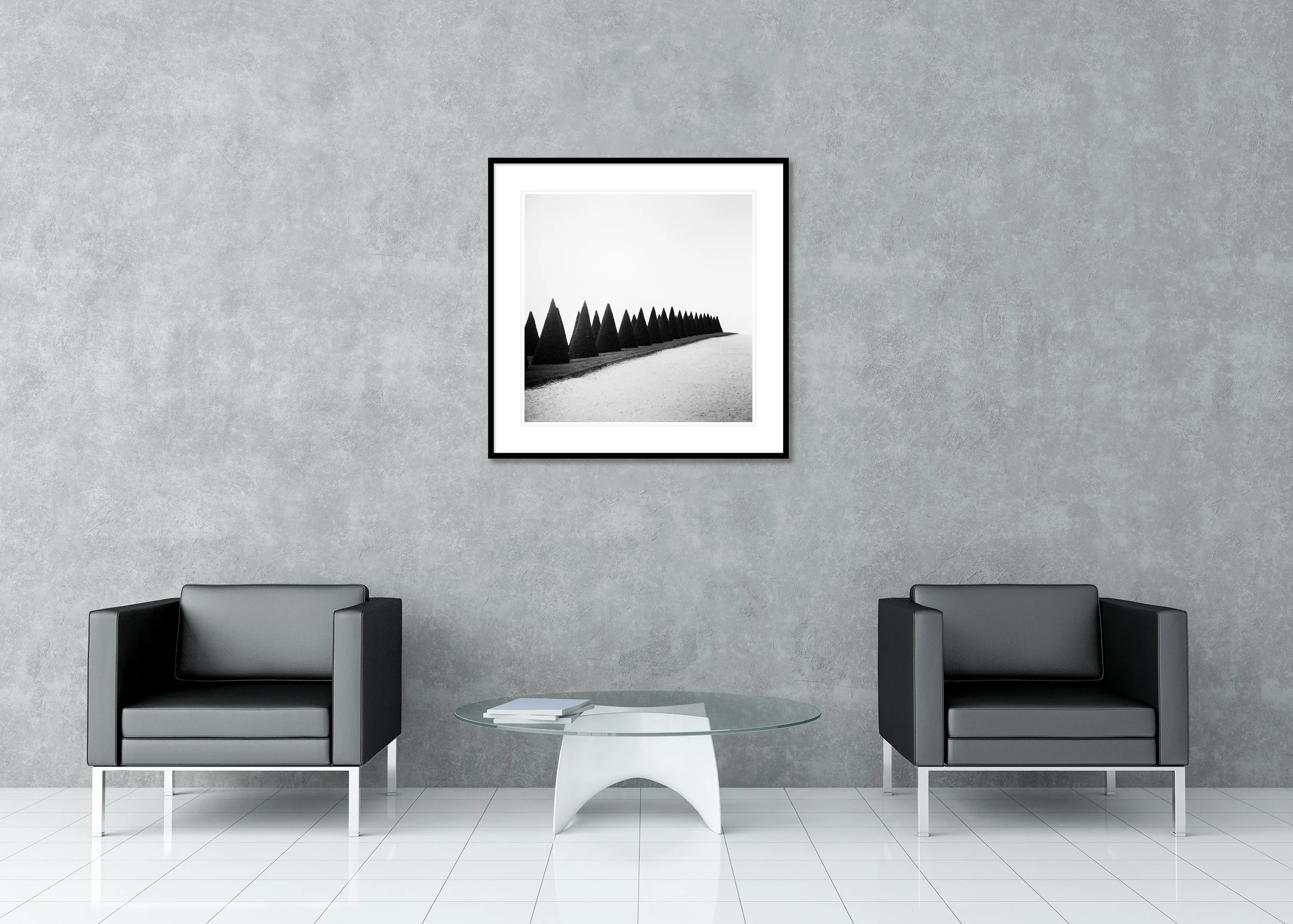 Hedges, Study 1 – black-and-white archival pigment print in an aluminium frame with a white mount displayed in a modern interior.