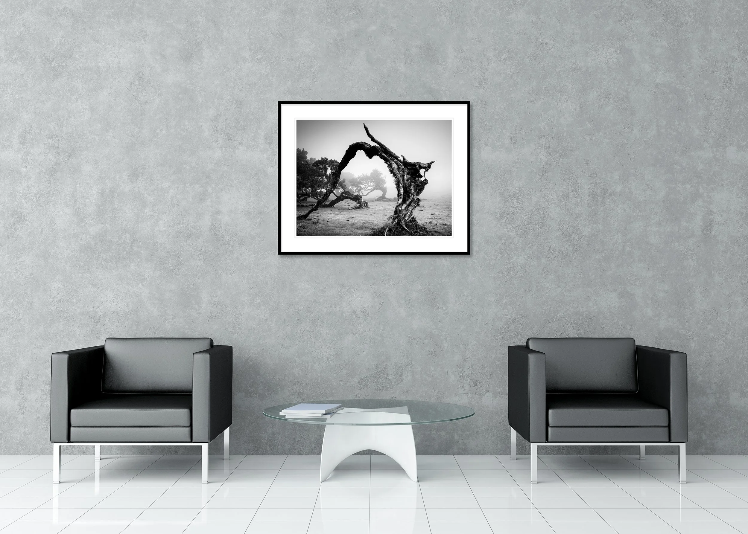 Twisted, wind-sculpted tree in foggy landscape, black-and-white photograph with dramatic contrast and natural textures, archival pigment print in frame with mount.