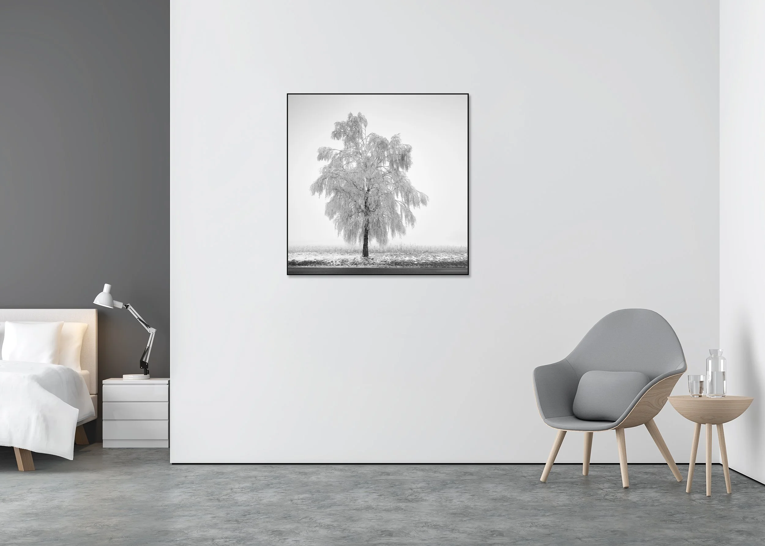 Frozen Birch Tree Study 1 displayed in a modern interior, mounted on aluminium Dibond in a black ArtBox frame by Gerald Berghammer.