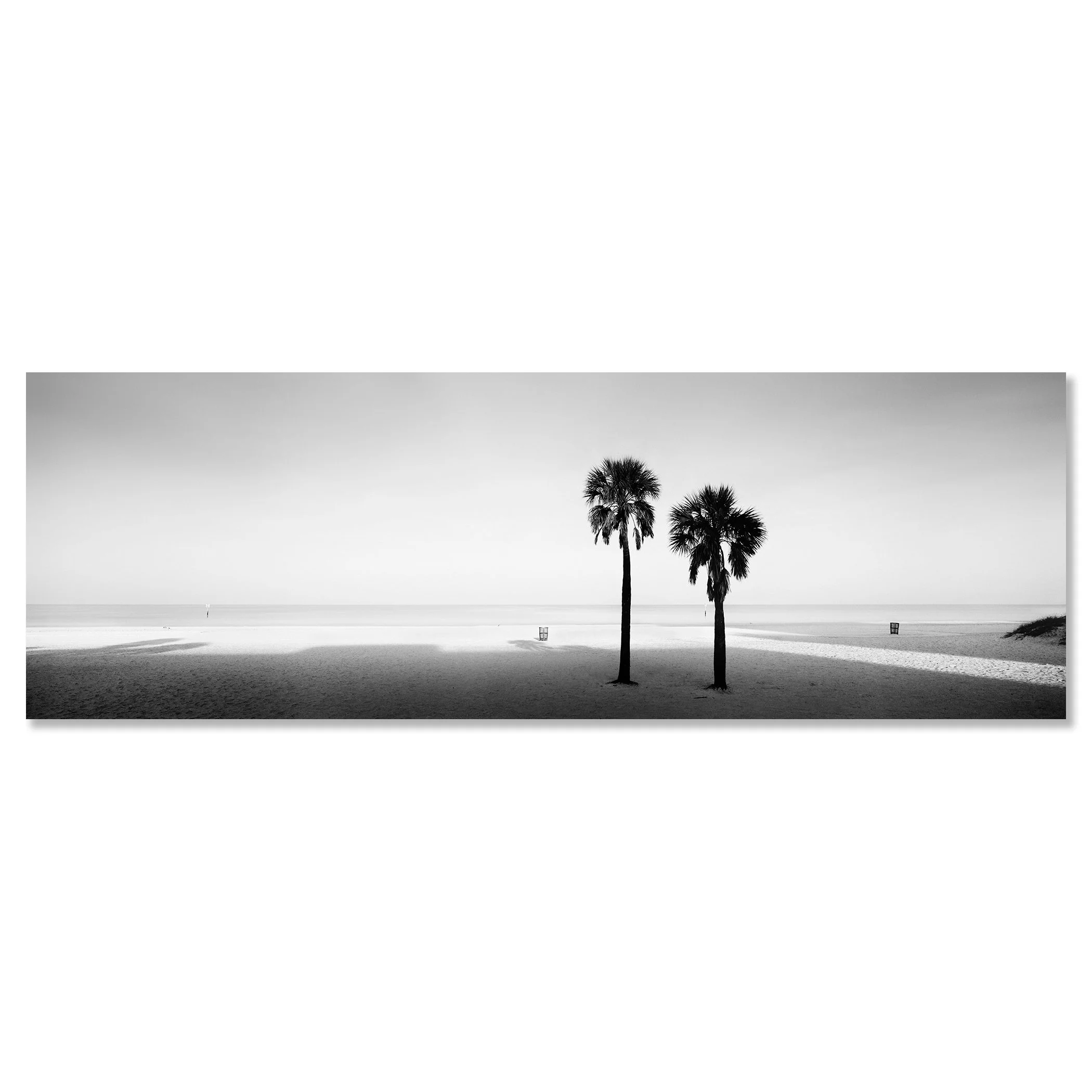 Two Palms Study 1 by Gerald Berghammer, frameless black-and-white fine art photograph mounted on aluminium Dibond.