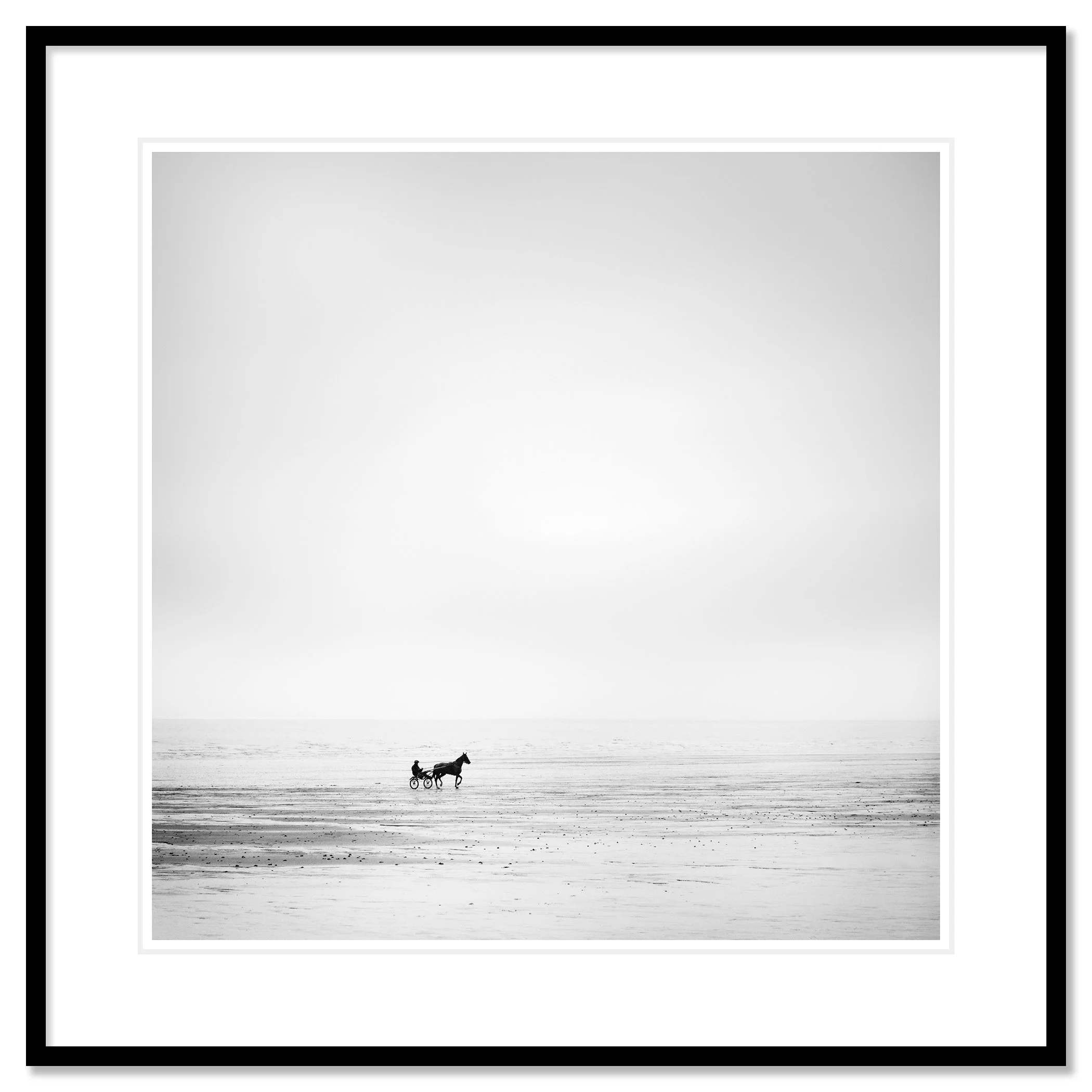 Harness Racing Horse on Empty Beach by Gerald Berghammer in a black aluminium frame with white mount.
