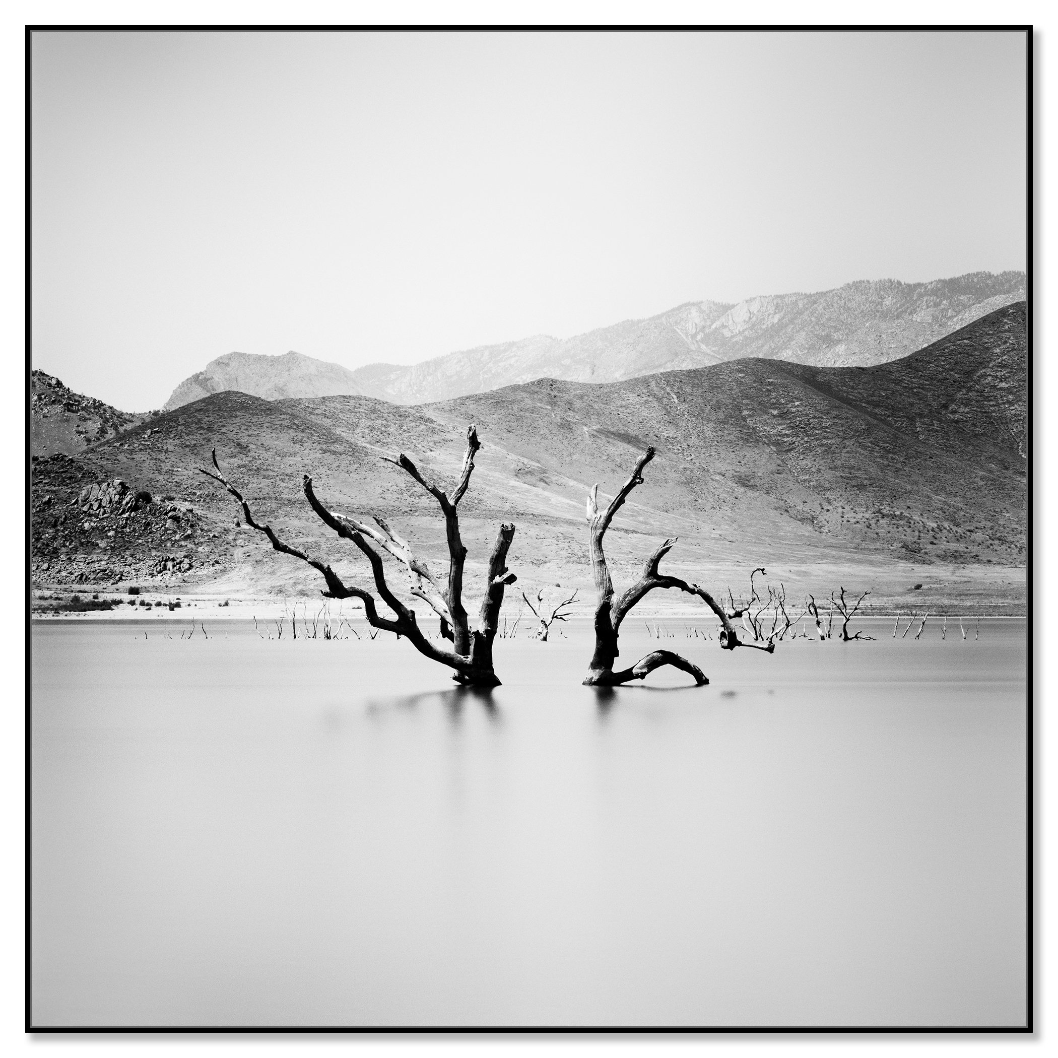 Minimalist black-and-white landscape photo of dead tree trunks in calm water with distant branches and mountains – framed ArtBox black