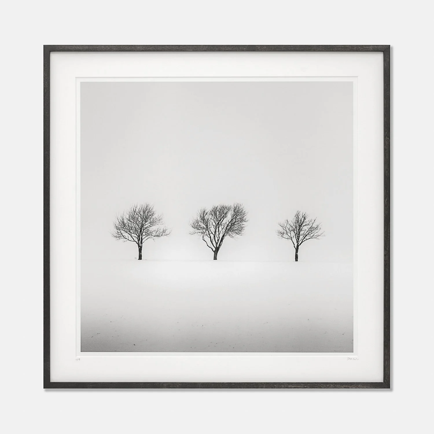 Three Trees in a Snowy Field, Study 2 by Gerald Berghammer, framed in dark-brown wood with a white archival mount.