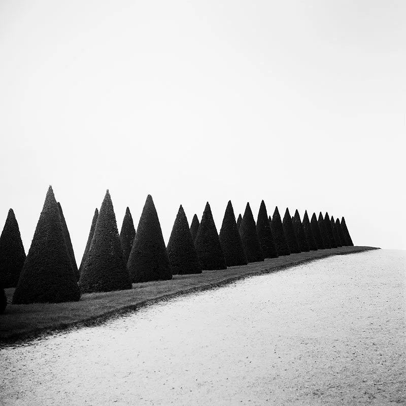 Hedges, Study 1 – Versailles, Paris, France | Gerald Berghammer