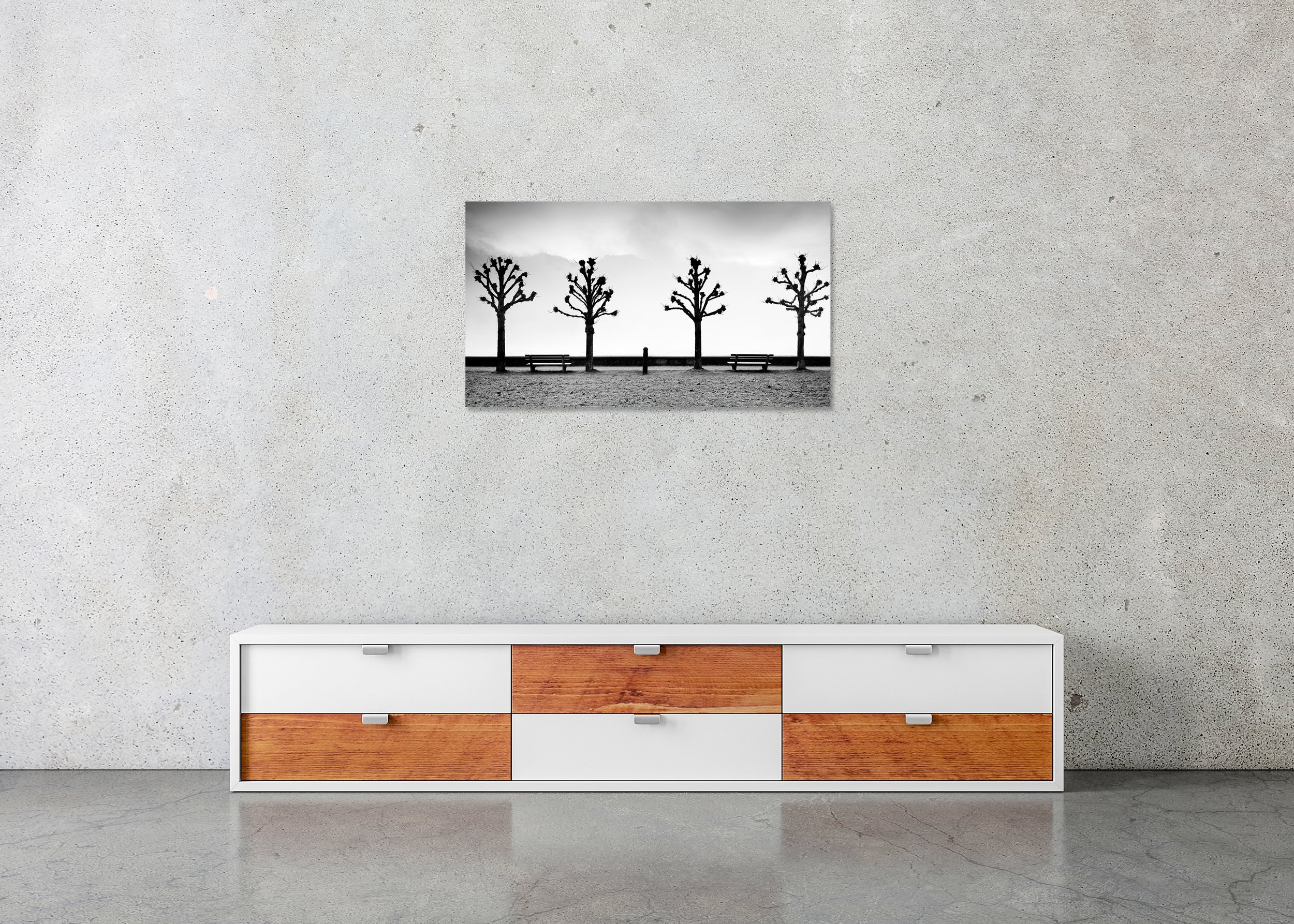 Black and white winter view of Lake Traunsee with four pruned chestnut trees, two benches and misty mountains, photo print mounted to Dibond, frameless