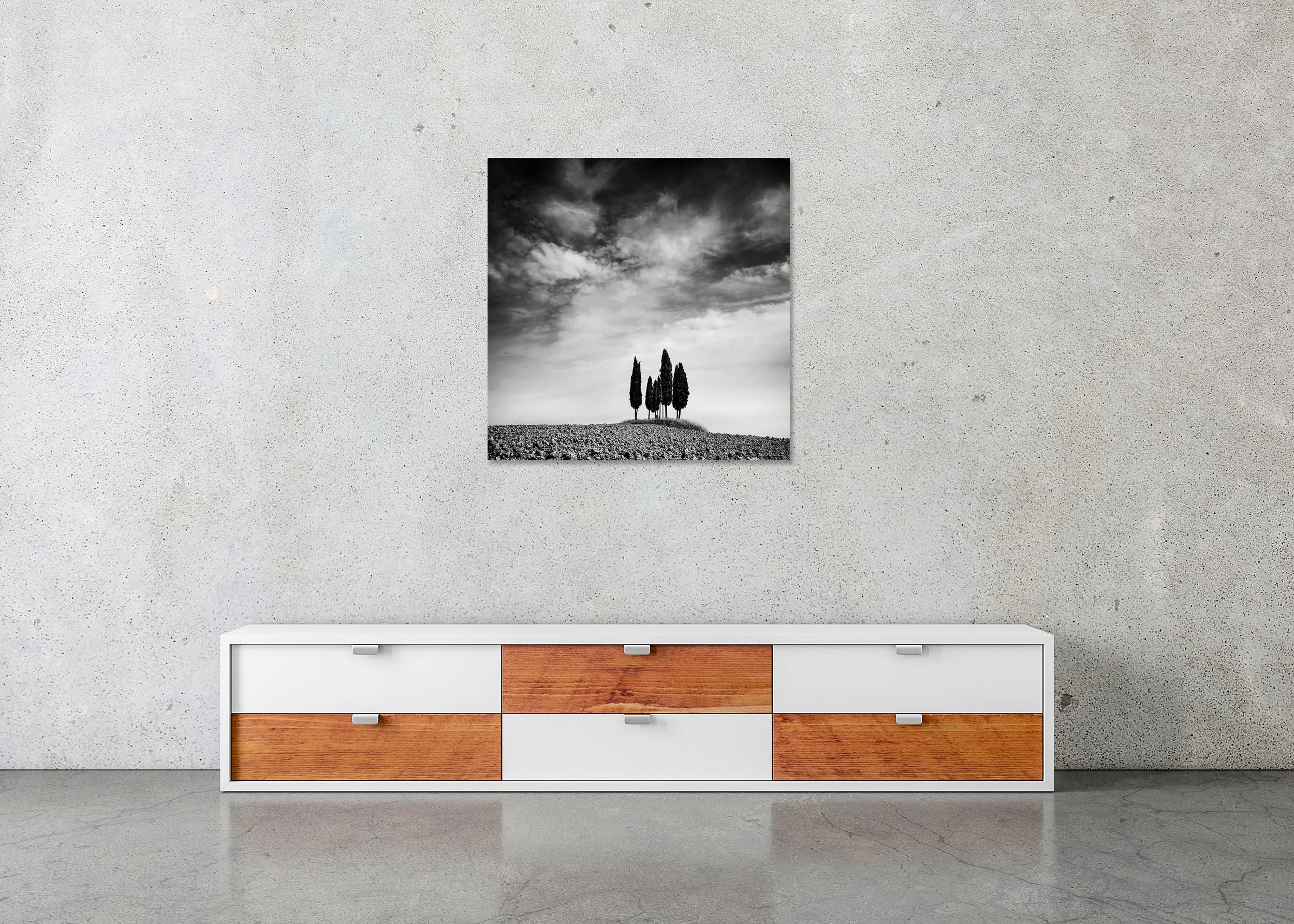 Minimalist monochrome landscape with slender trees on a hilltop below a dramatic sky, photo print mounted to Dibond, frameless