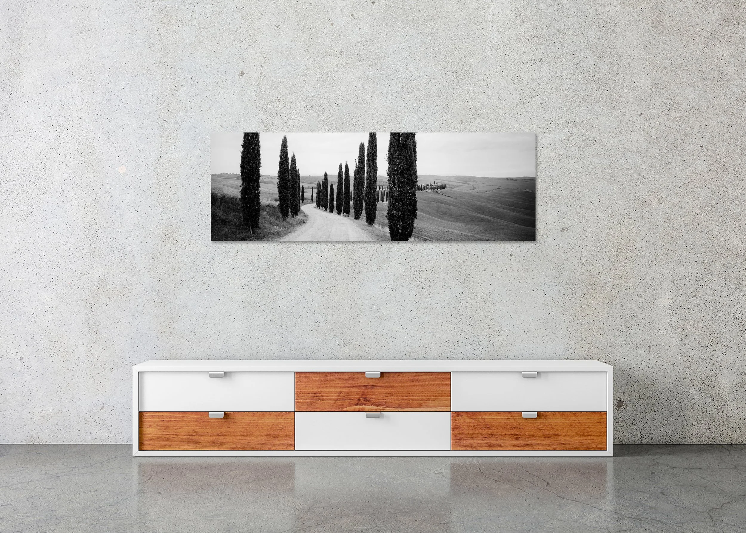 Black-and-white photo of a winding Tuscan road lined with tall cypress trees through rolling hills, photo print mounted to Dibond, frameless.