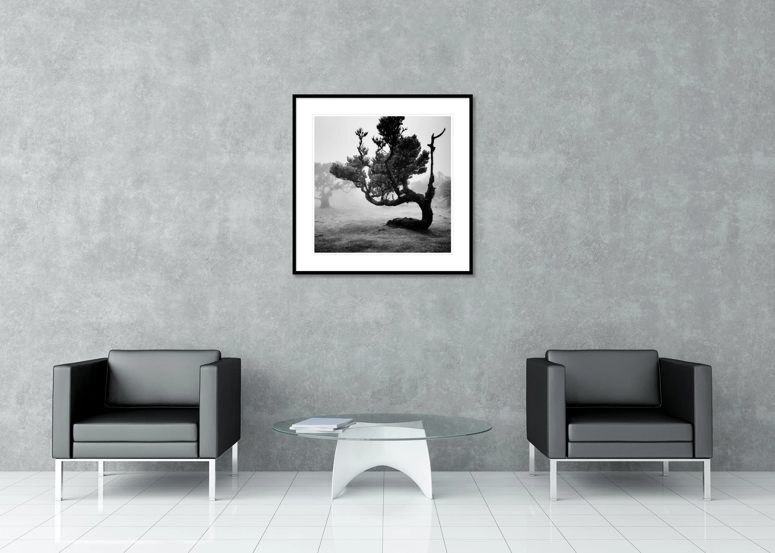 Moody black and white photo of an ancient tree in mist, Laurisilva forest, Madeira, archival pigment print in a classic frame with a mount