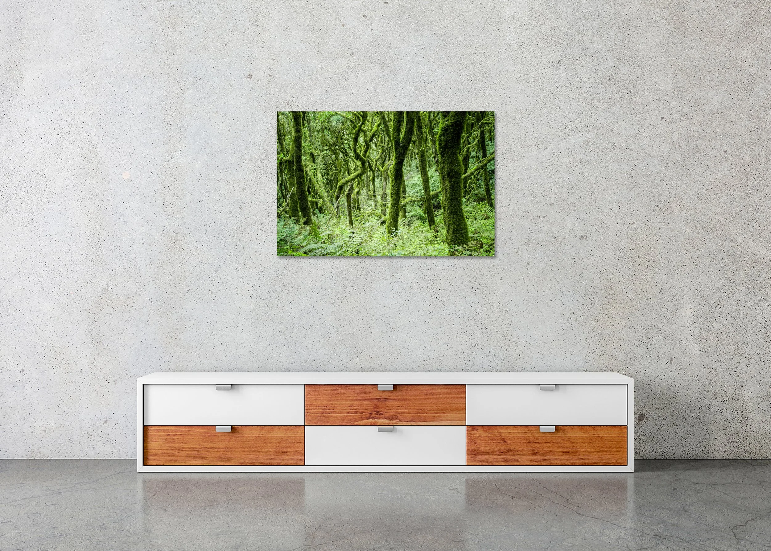 The Laurel Forest of La Gomera, Study 1 – frameless photograph on aluminium Dibond above a sideboard in a minimalist interior. Photo by Gerald Berghammer.