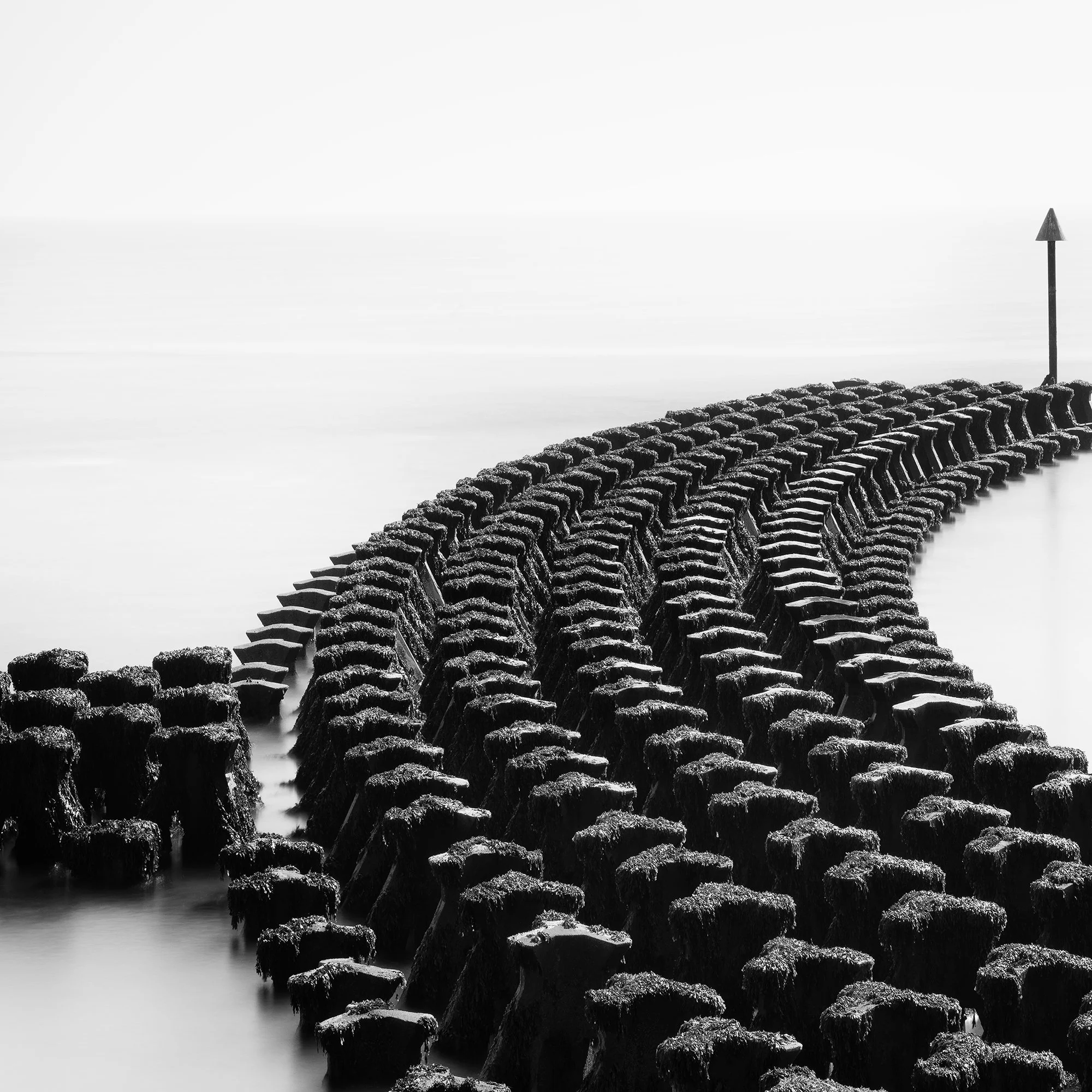 Detail of curved wooden groynes in Cobbolds Point Study 1, a black-and-white seascape photograph by Gerald Berghammer.