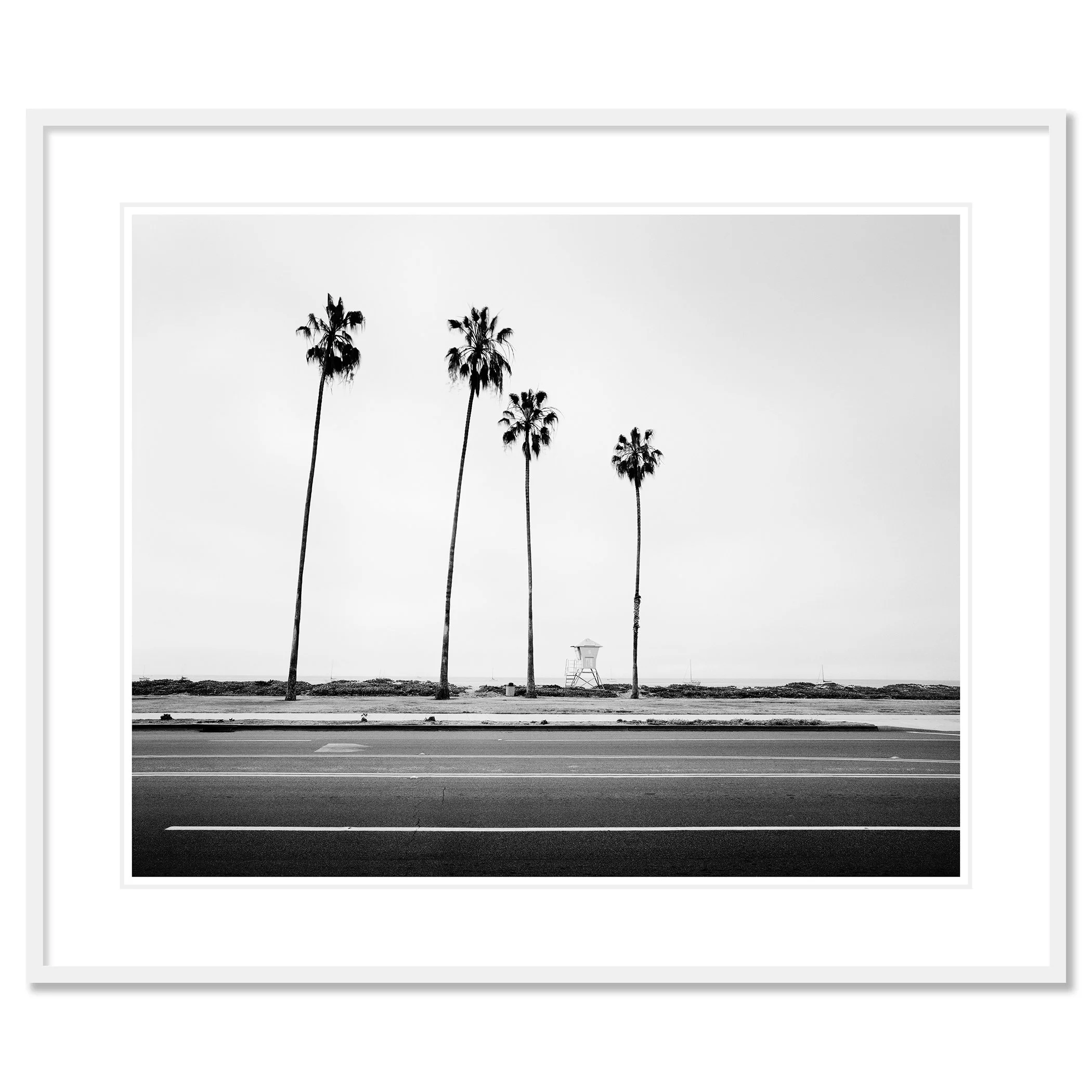 Palm Tree Study 4 presented as an archival pigment print in a white aluminium frame with a white mount by Gerald Berghammer.