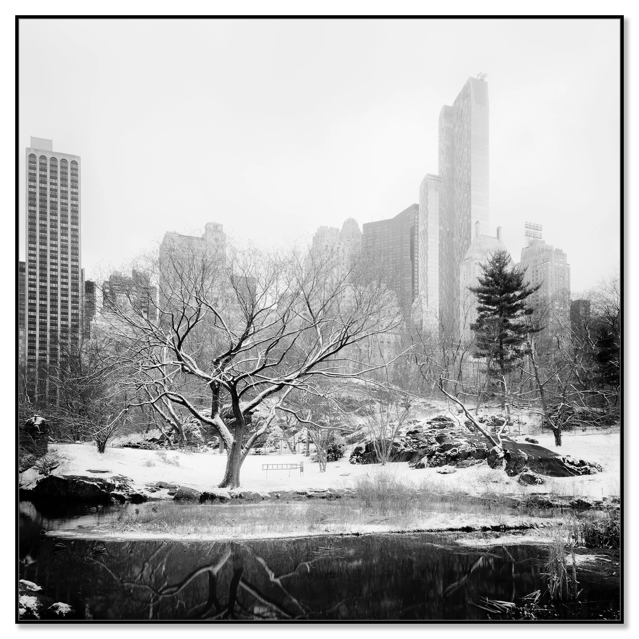 Snow-Covered Central Park Study 7 by Gerald Berghammer, black-and-white photograph presented in a black aluminium ArtBox frame.